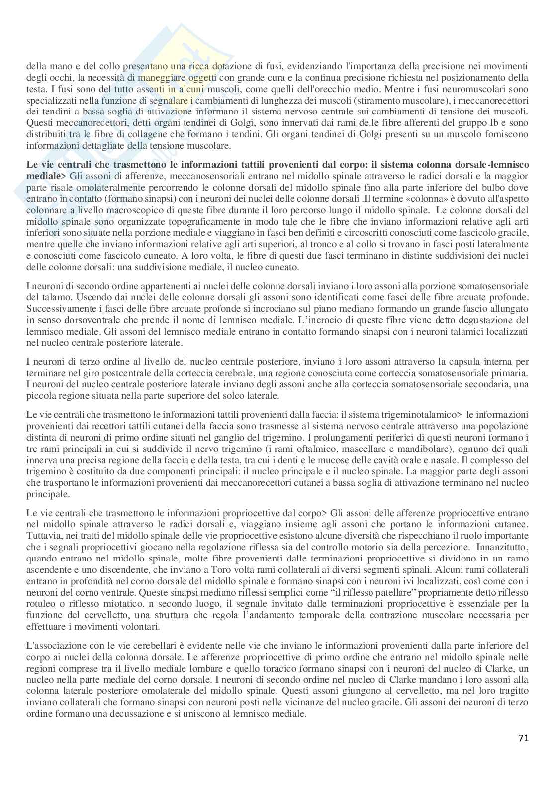 Riassunto esame Anatomia, Prof. Guariglia Paola, libro consigliato Anatomia del sistema nervoso e periferico e Neuroscienze (fisiologia), Cattaneo Pag. 71