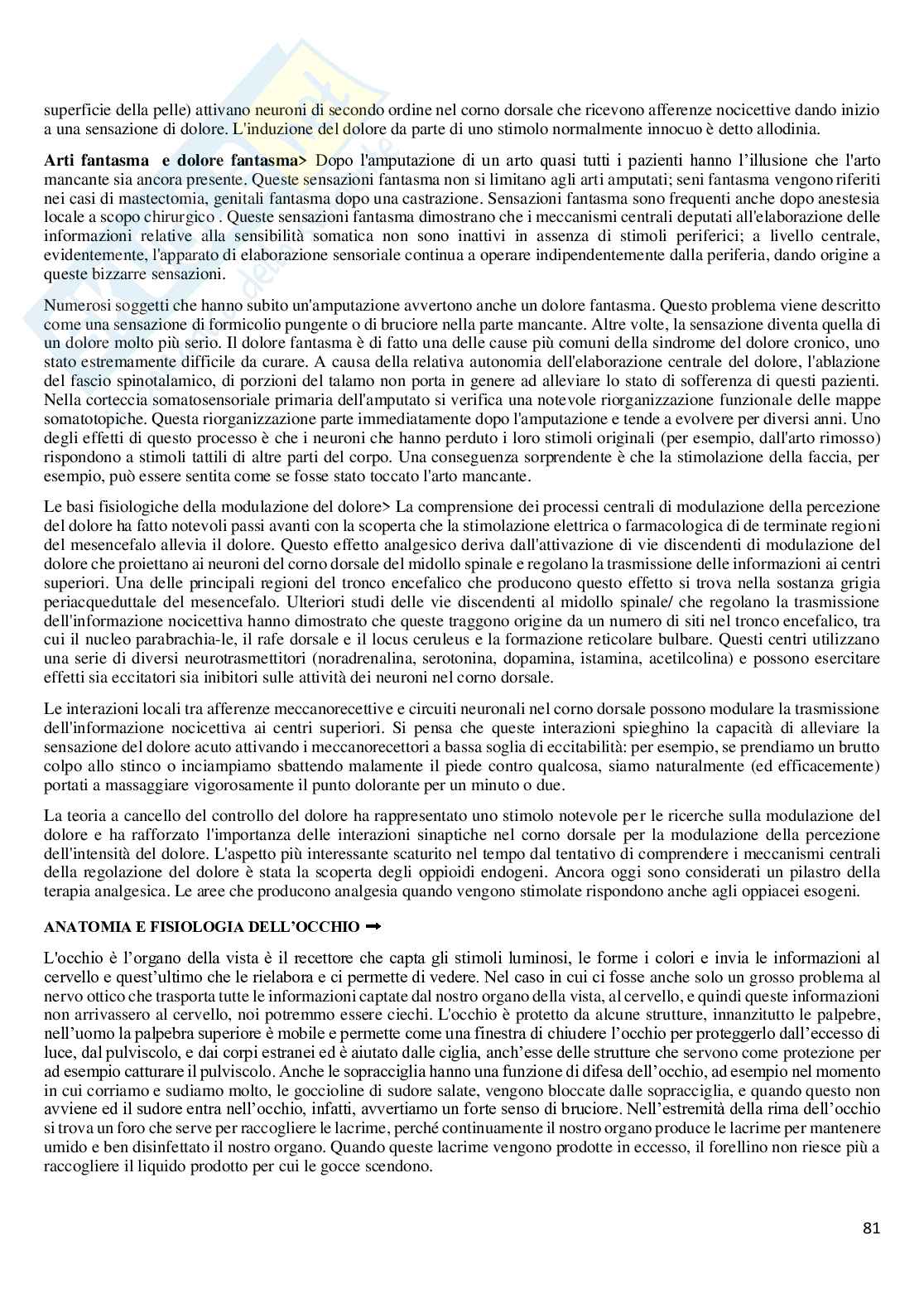Riassunto esame Anatomia, Prof. Guariglia Paola, libro consigliato Anatomia del sistema nervoso e periferico e Neuroscienze (fisiologia), Cattaneo Pag. 81