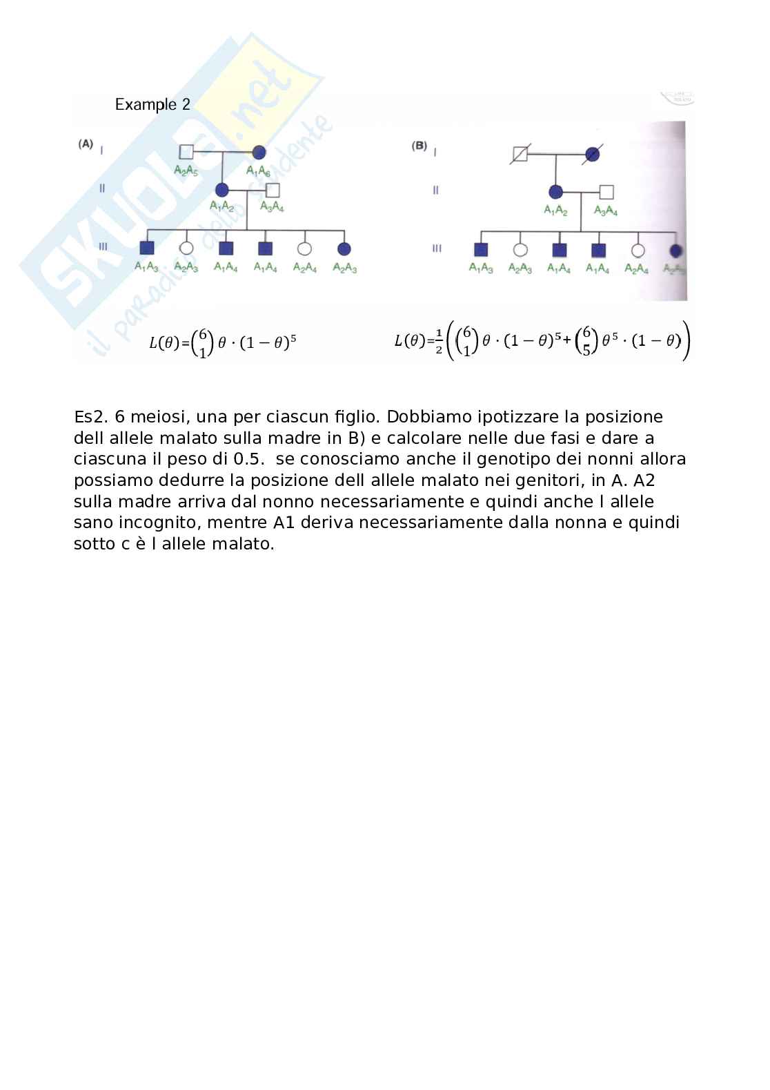 Genetica Pag. 26
