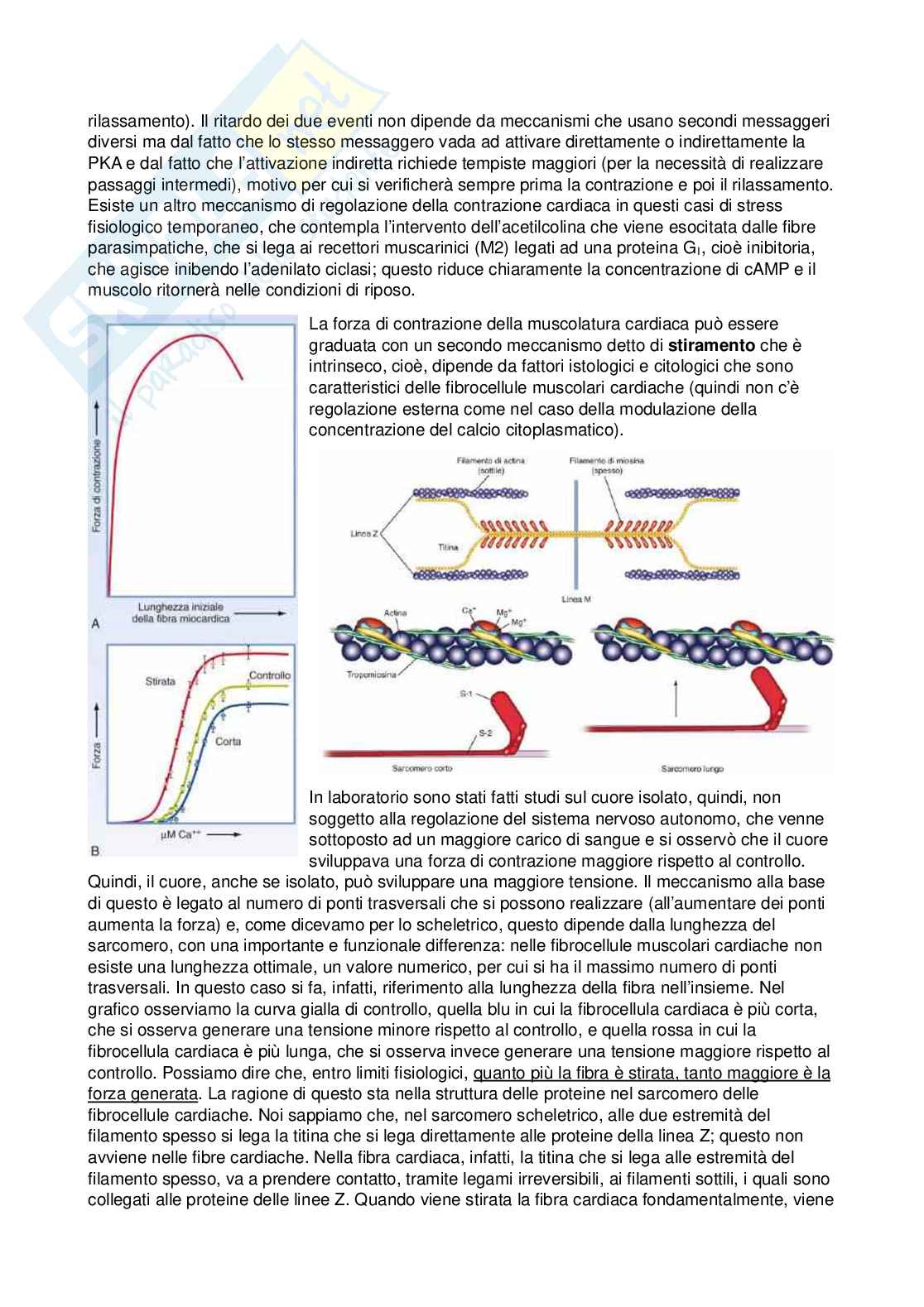 Fisiologia - Seconda parte  Pag. 21