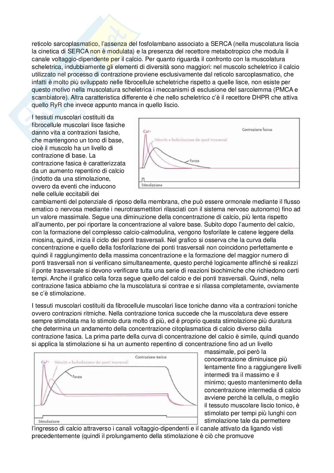 Fisiologia - Seconda parte  Pag. 26