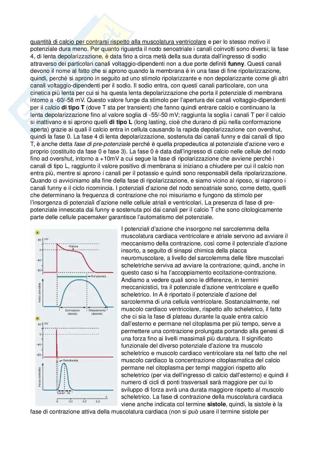 Fisiologia - Seconda parte  Pag. 31