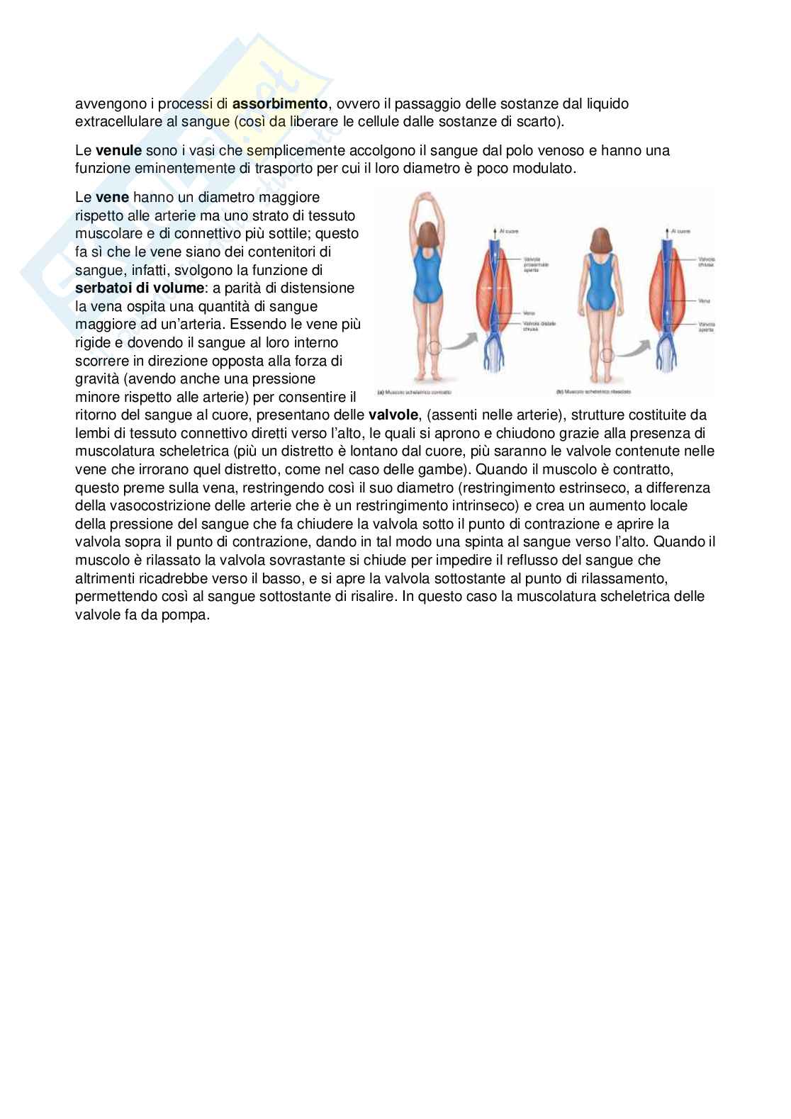 Fisiologia - Seconda parte  Pag. 46