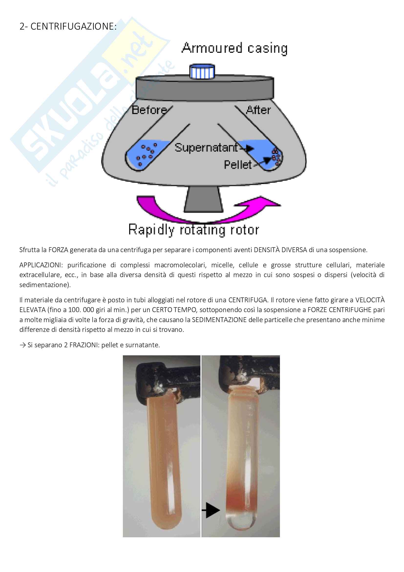 Analisi biochimica Pag. 11
