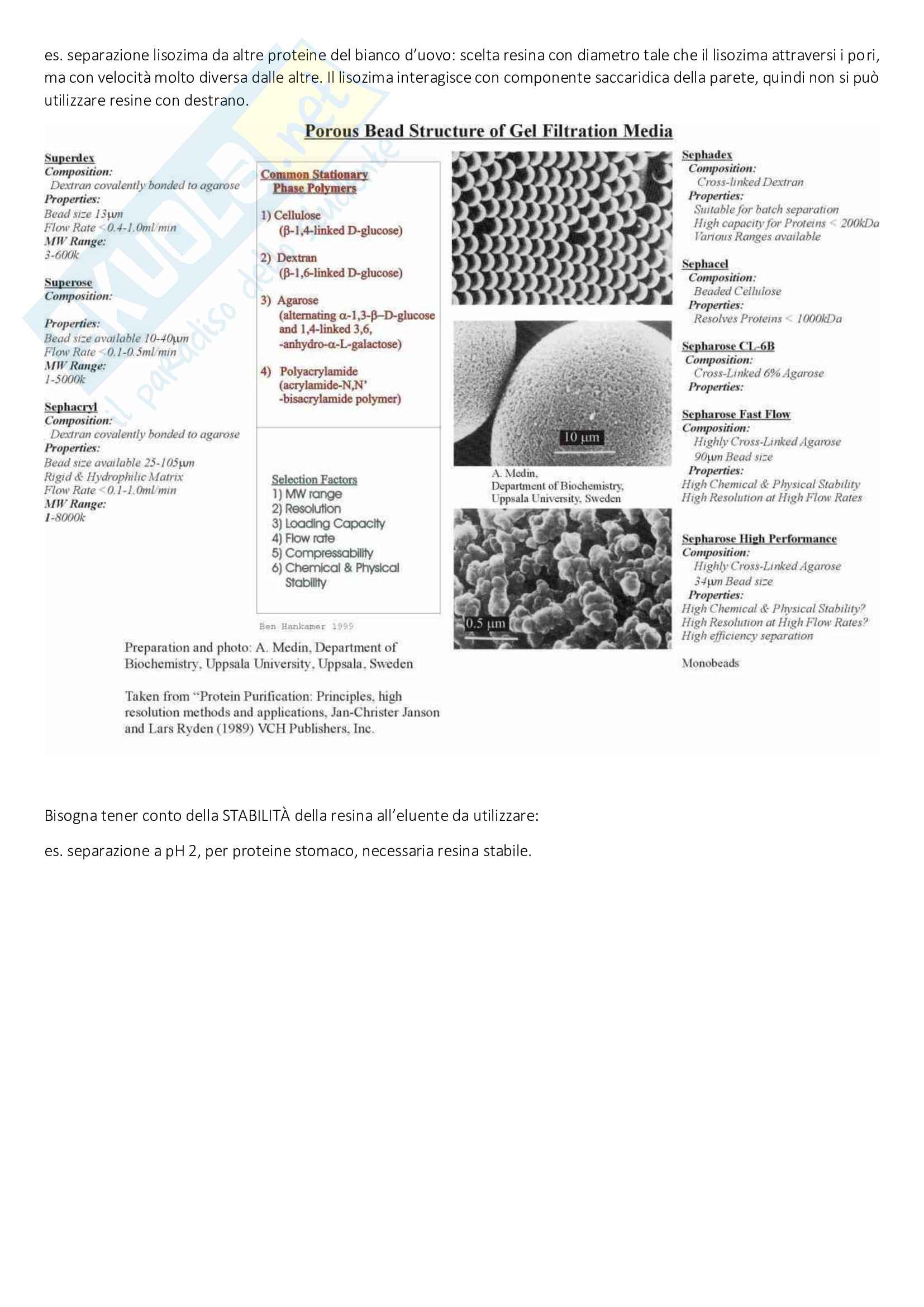 Analisi biochimica Pag. 31