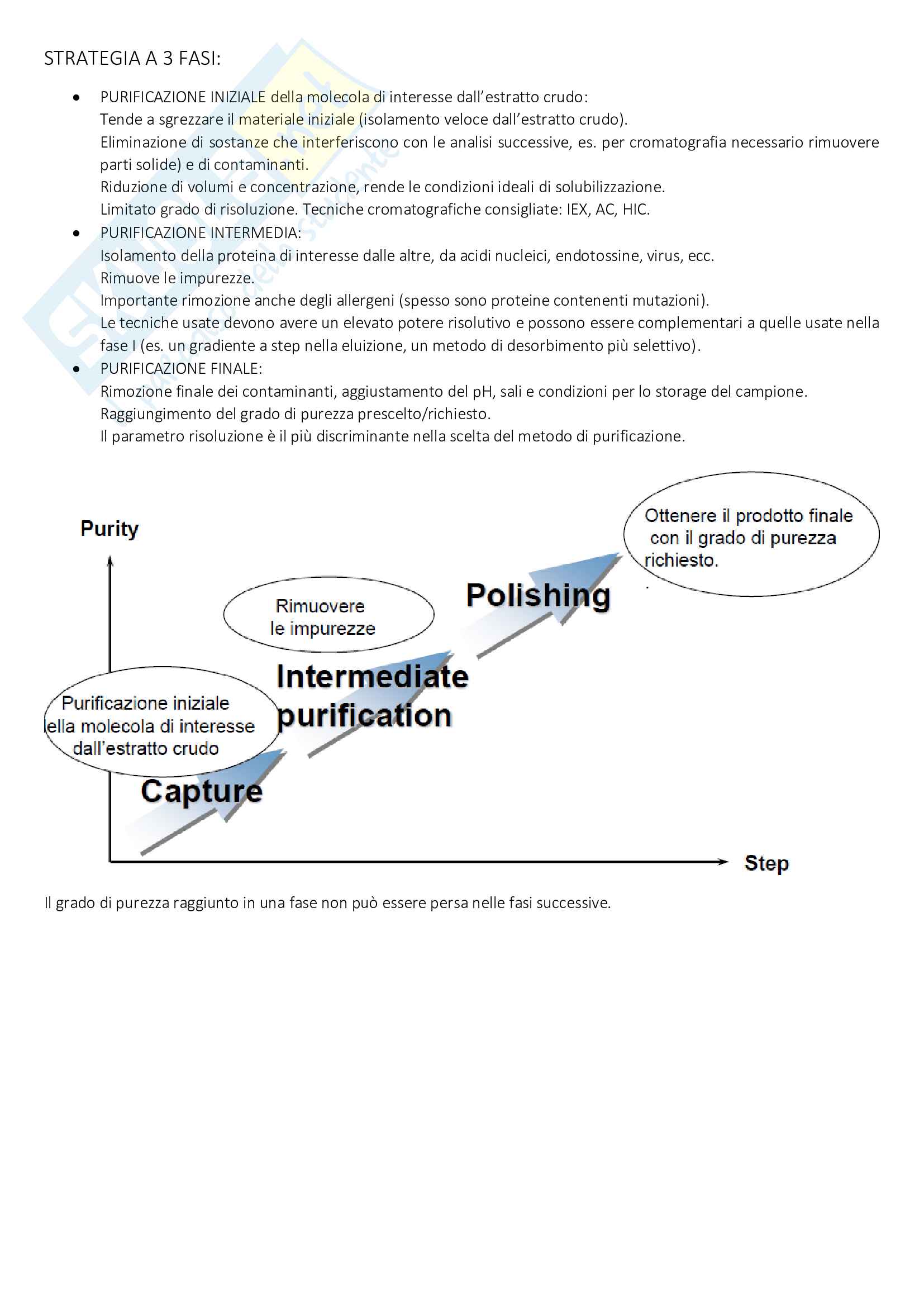 Analisi biochimica Pag. 6