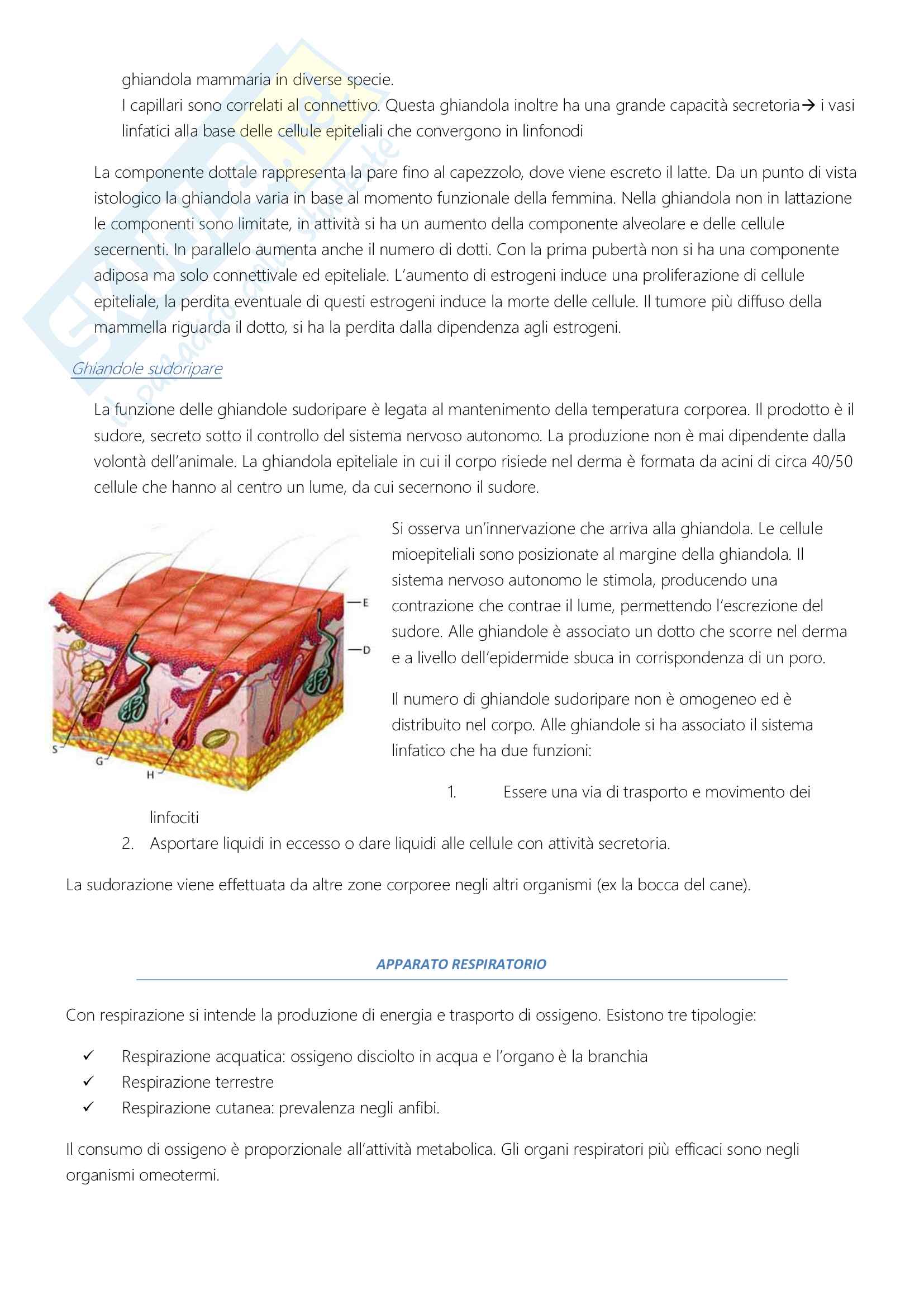 Anatomia comparata Pag. 6