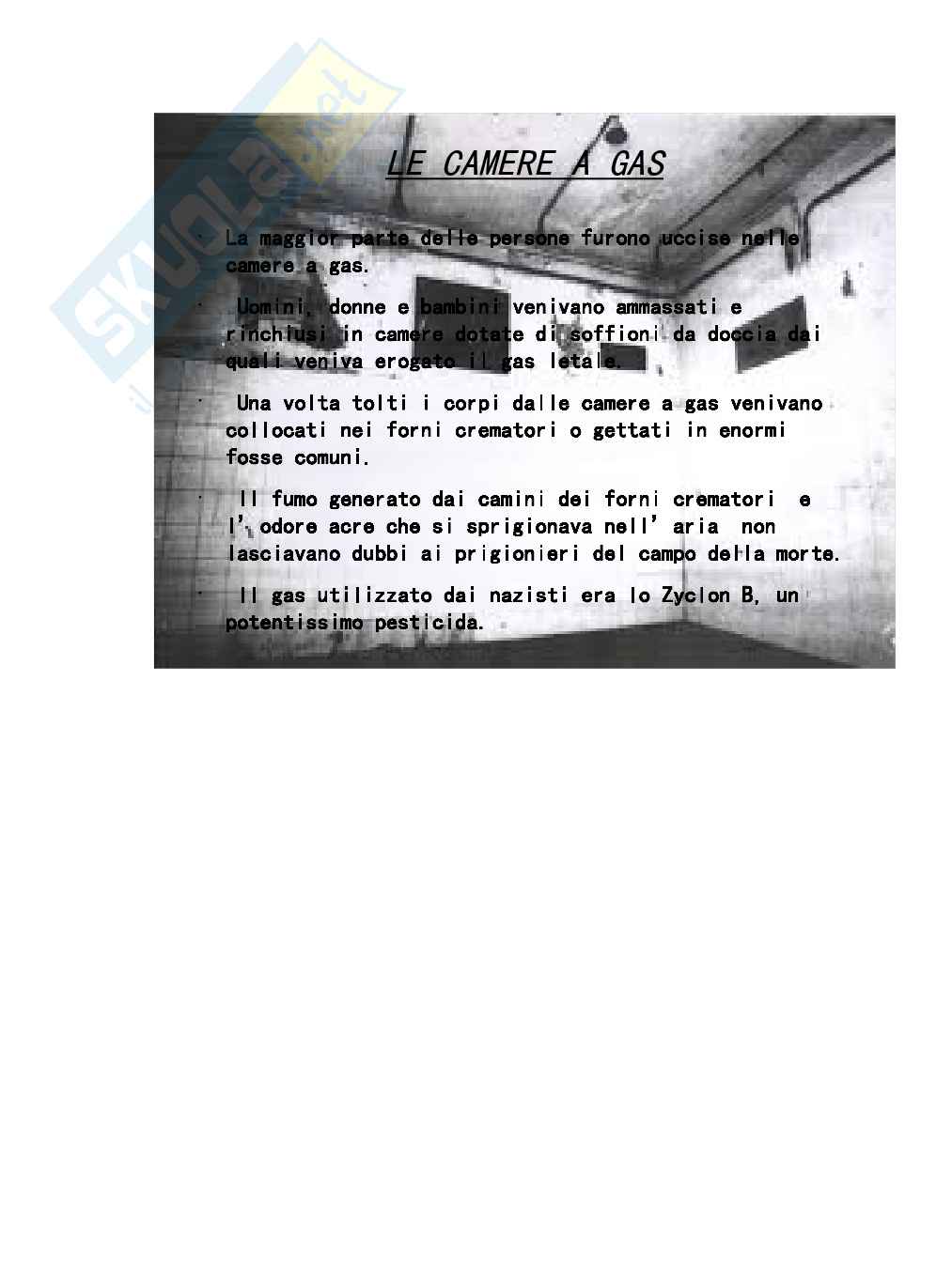 Tesina sull'Olocausto Pag. 96