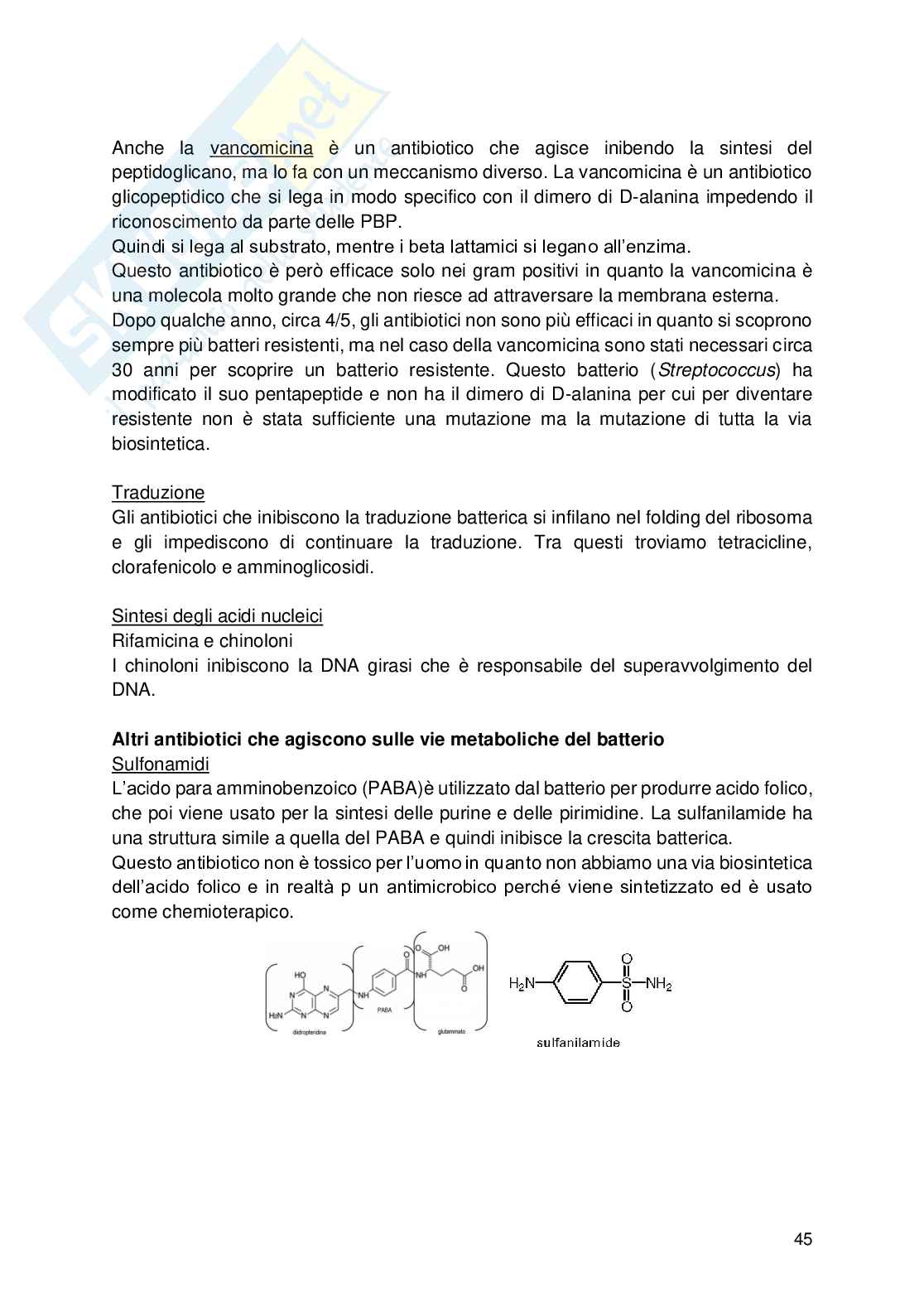 Appunti di Microbiologia Pag. 46