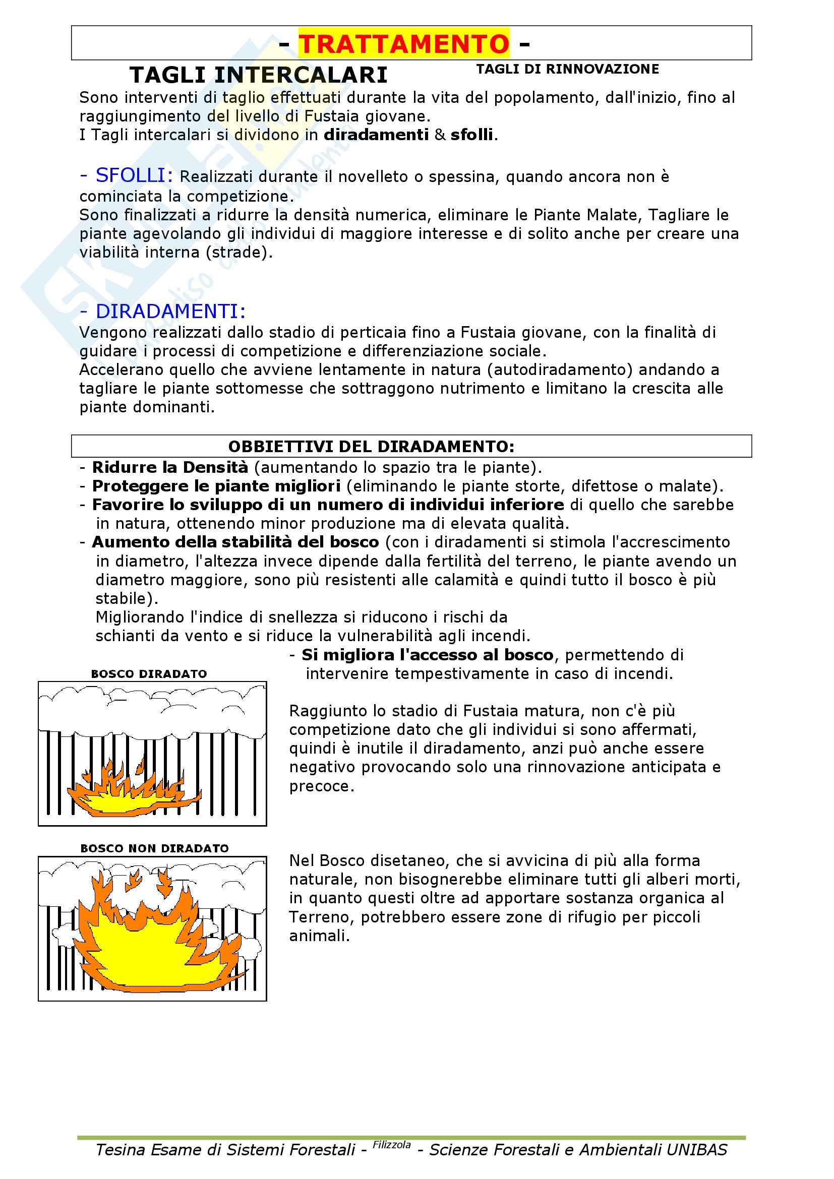 Selvicoltura generale e sistemi forestali - Appunti Pag. 36