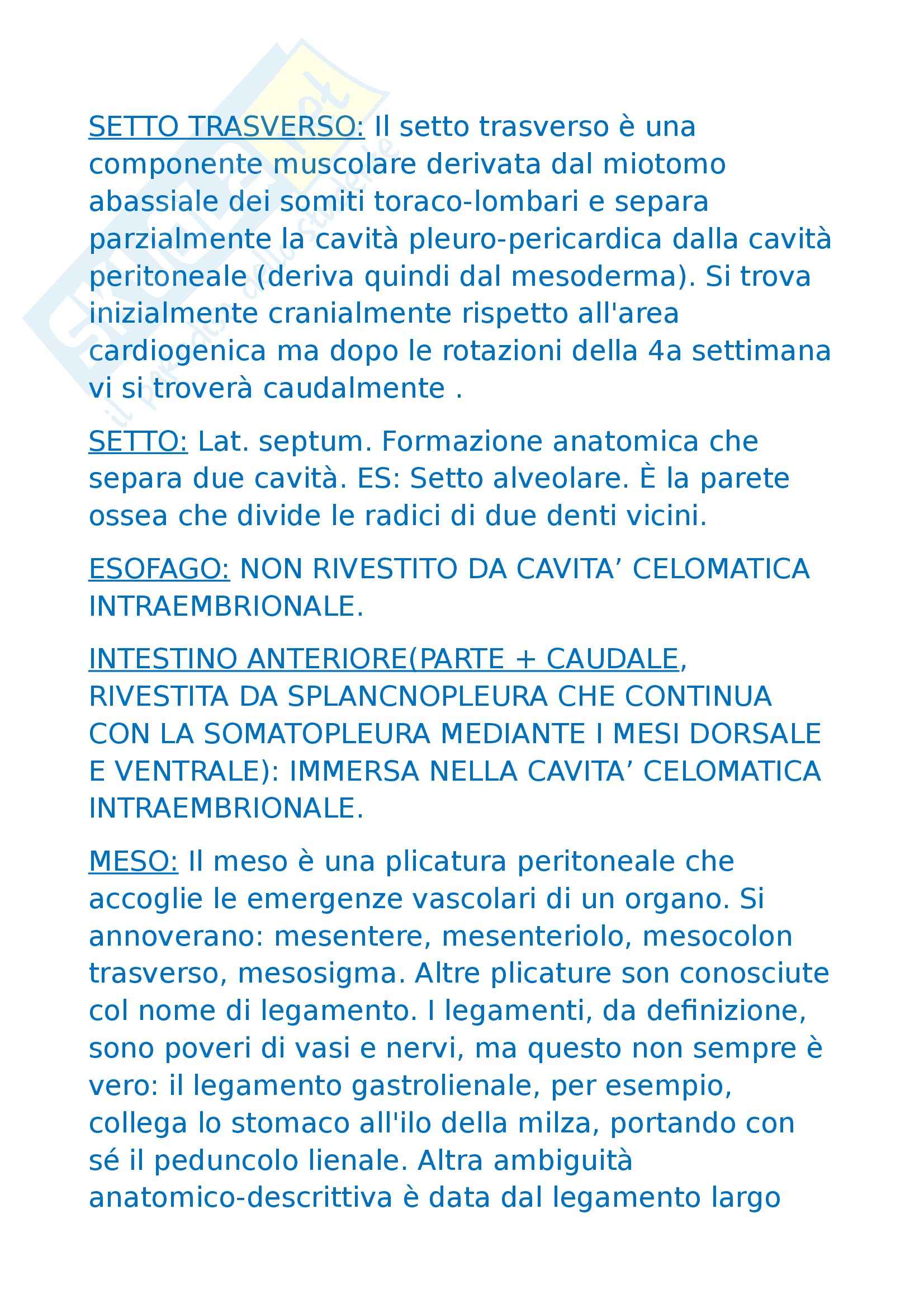 Anatomia umana - tappe dell'organogenesi Pag. 11