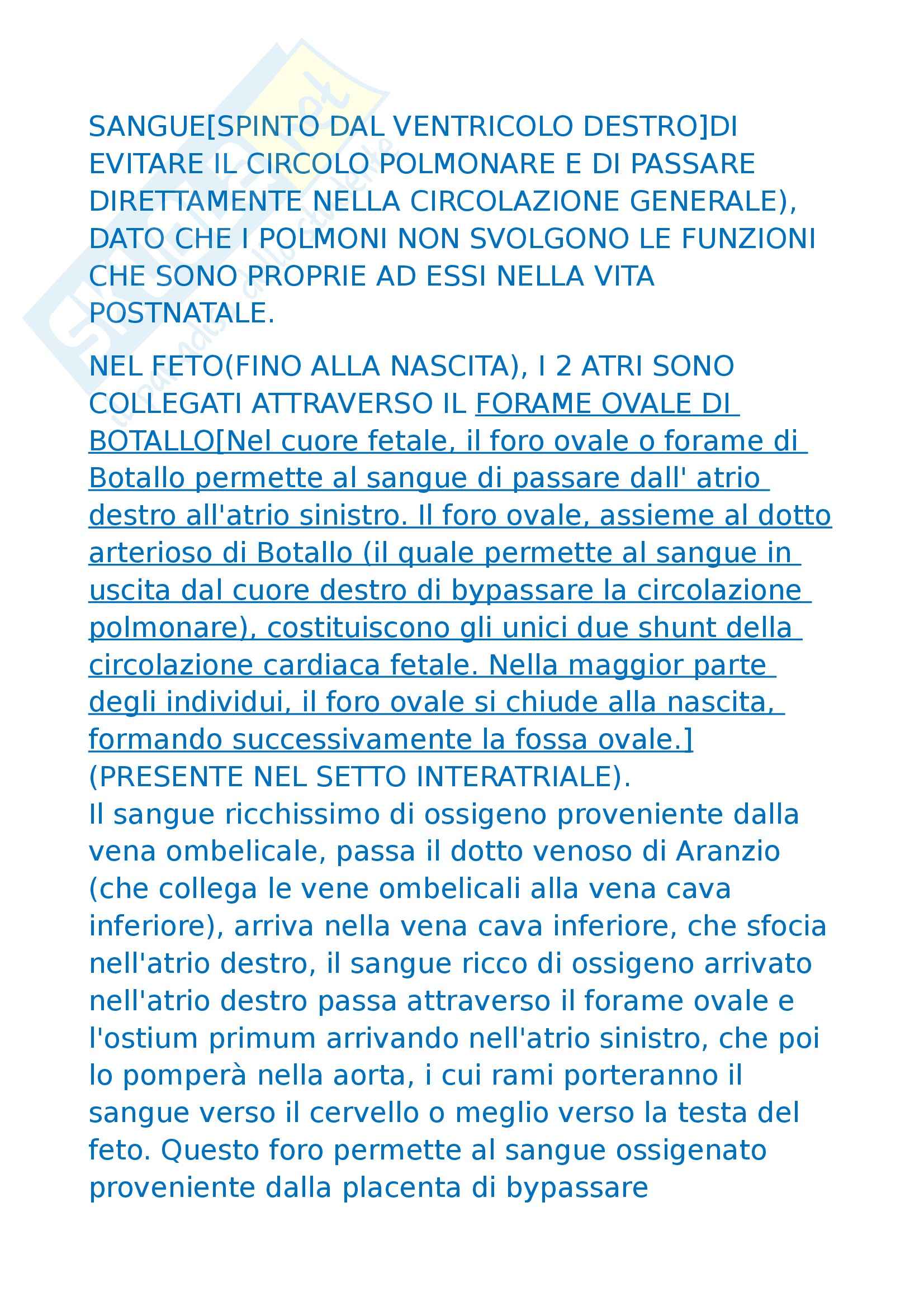 Anatomia umana - tappe dell'organogenesi Pag. 31