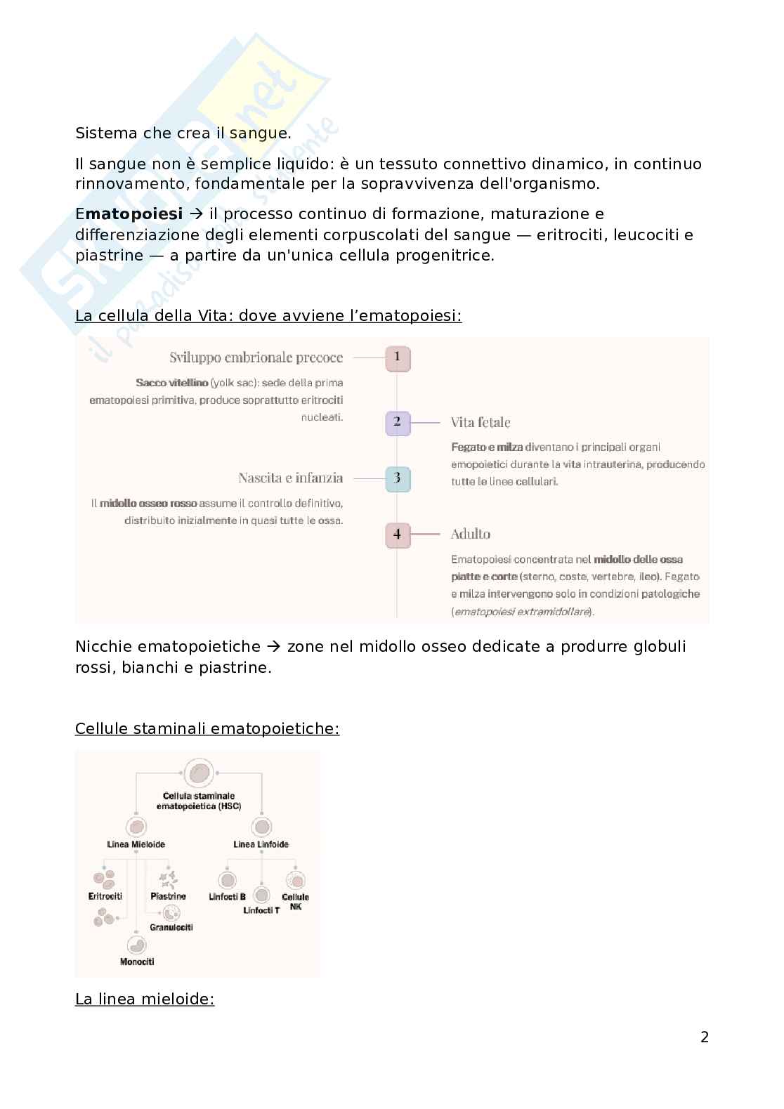 Fisiopatologia applicata all'infermieristica  Pag. 2