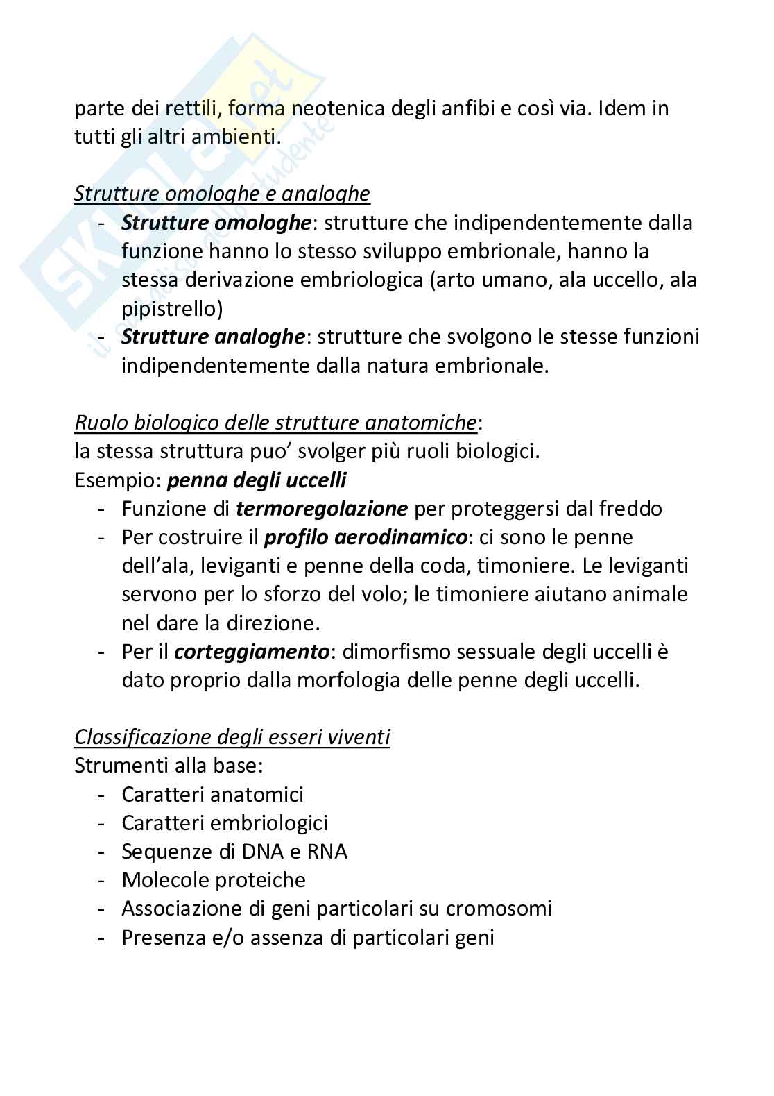Filogenesi animale Pag. 16