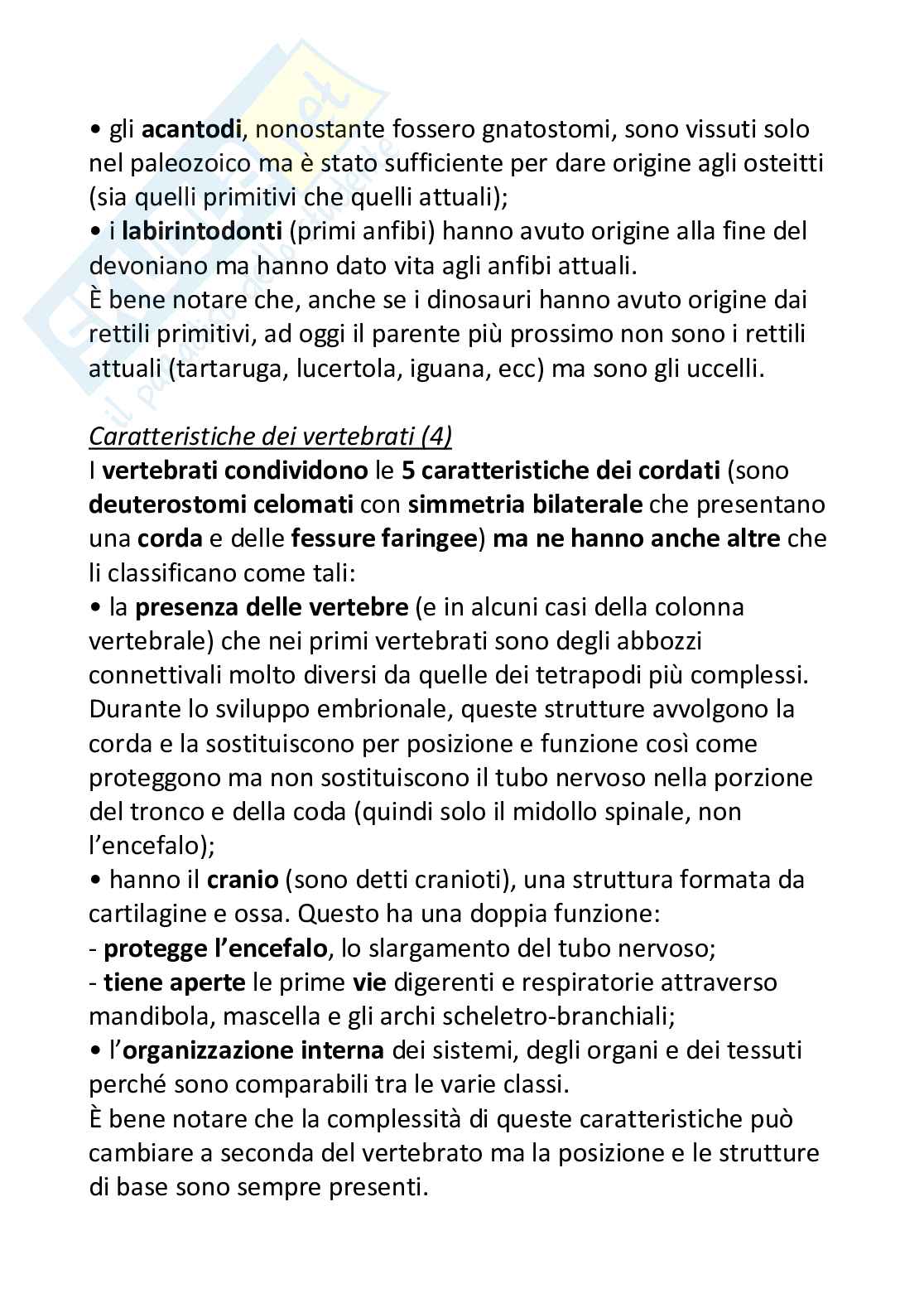 Filogenesi animale Pag. 41