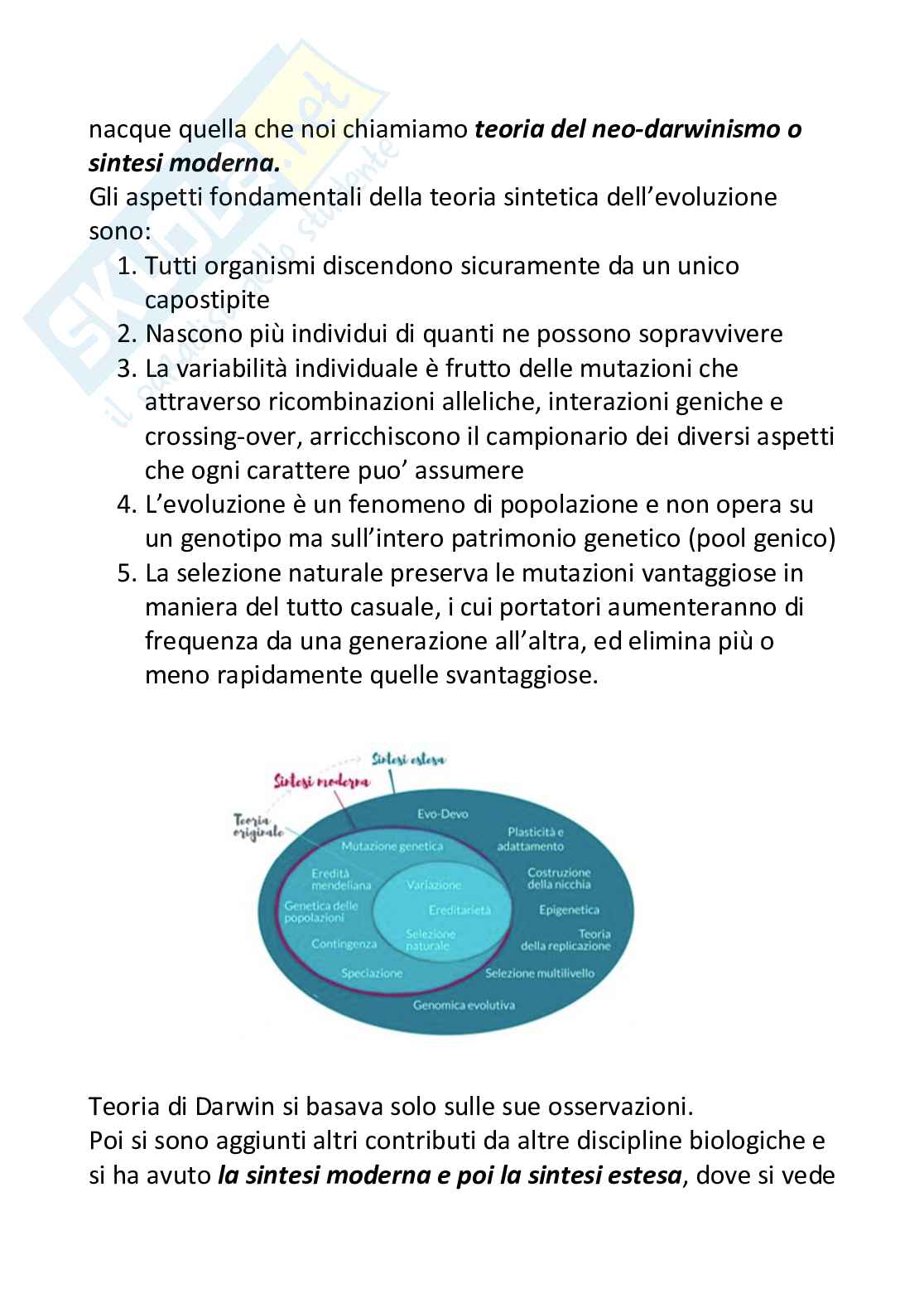 Filogenesi animale Pag. 6