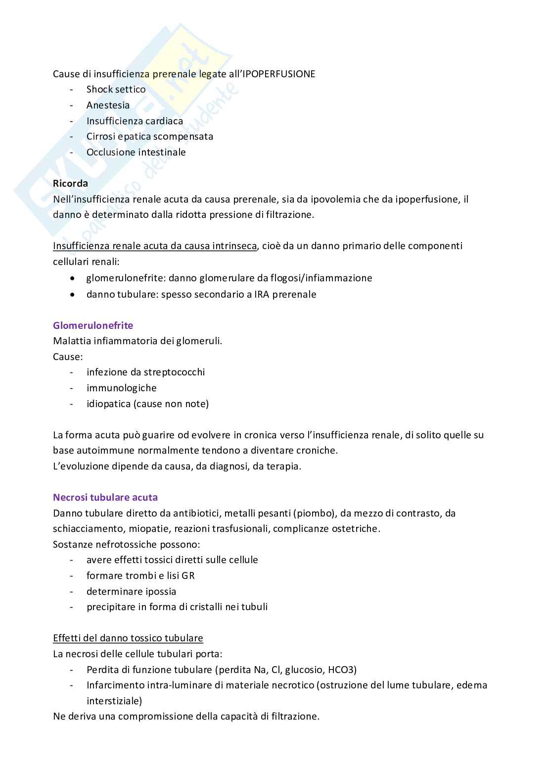 fisiopatologia e semeiotica Pag. 56