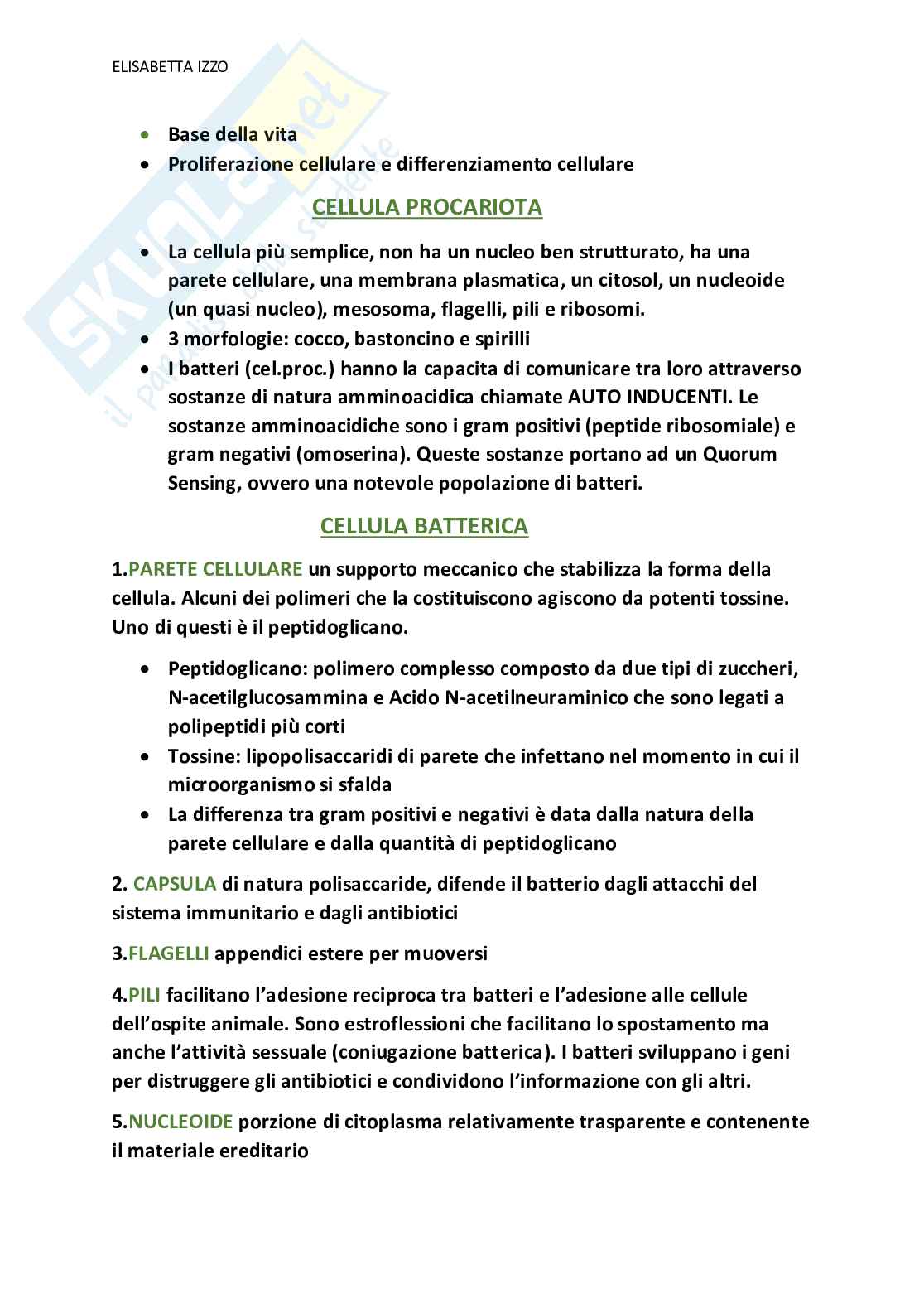 Appunti Biologia animale Pag. 11