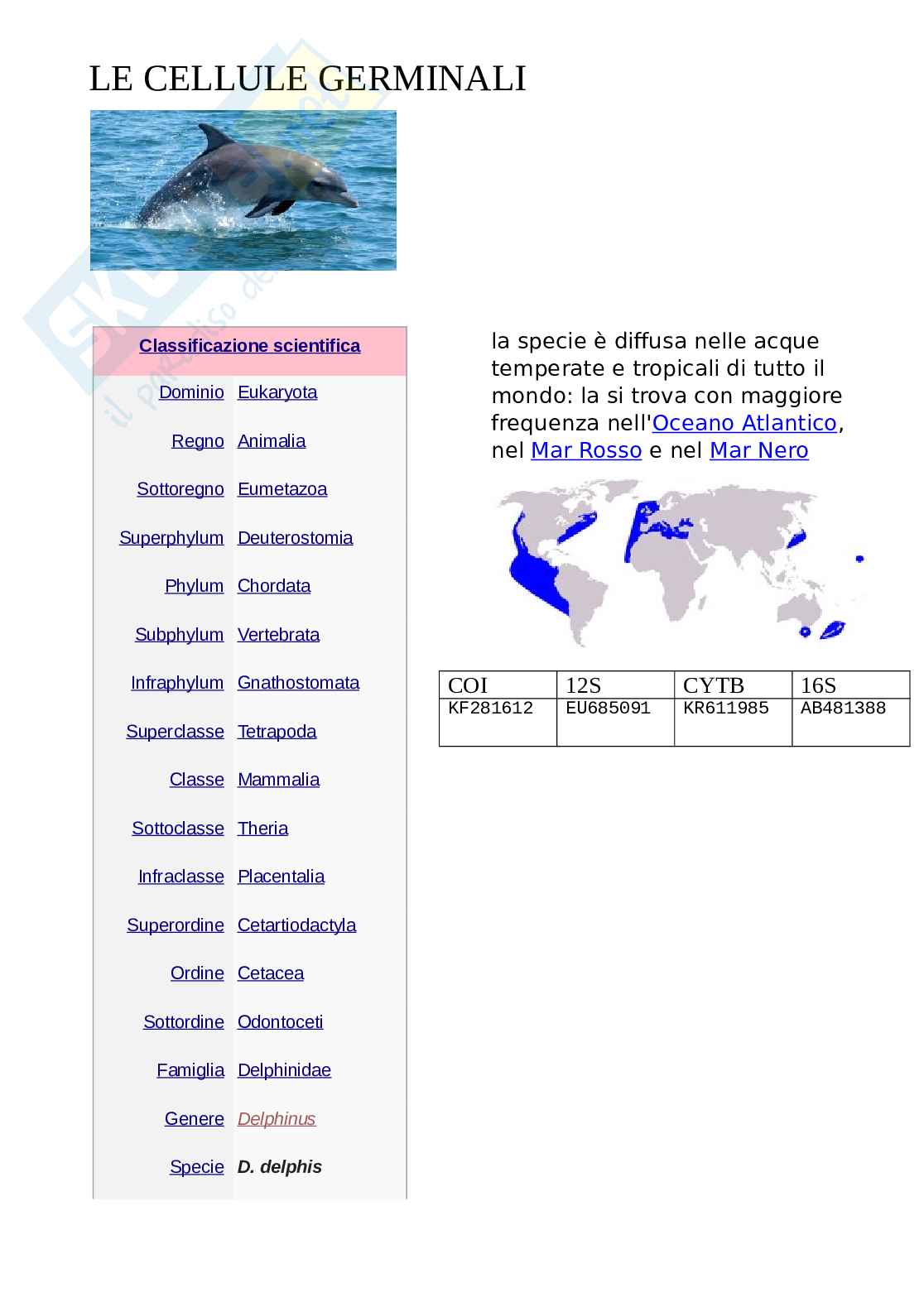 Le cellule somatiche e germinali Pag. 11