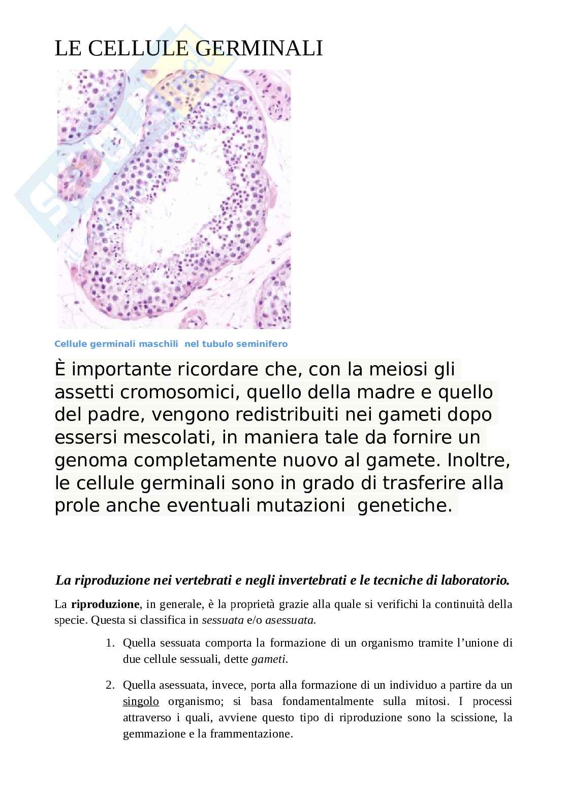 Le cellule somatiche e germinali Pag. 6