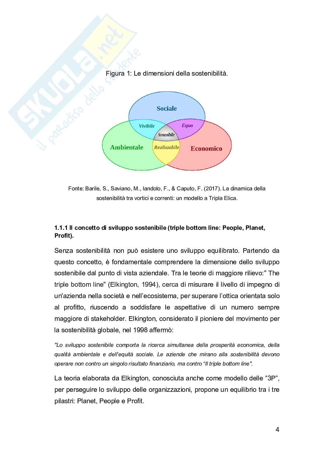 L'influenza delle sostenibilità sulle strategie di marketing  Pag. 11