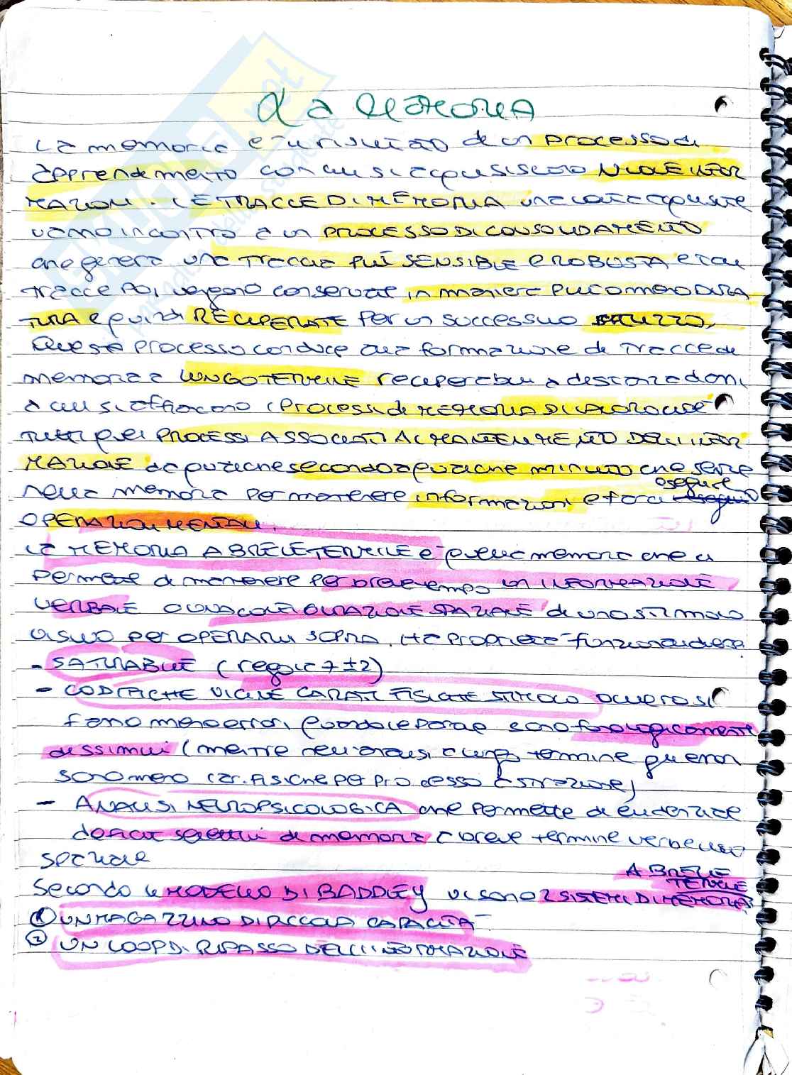 Psicobiologia dell'apprendimento: sviluppo e sistemi della memoria infantile Pag. 1