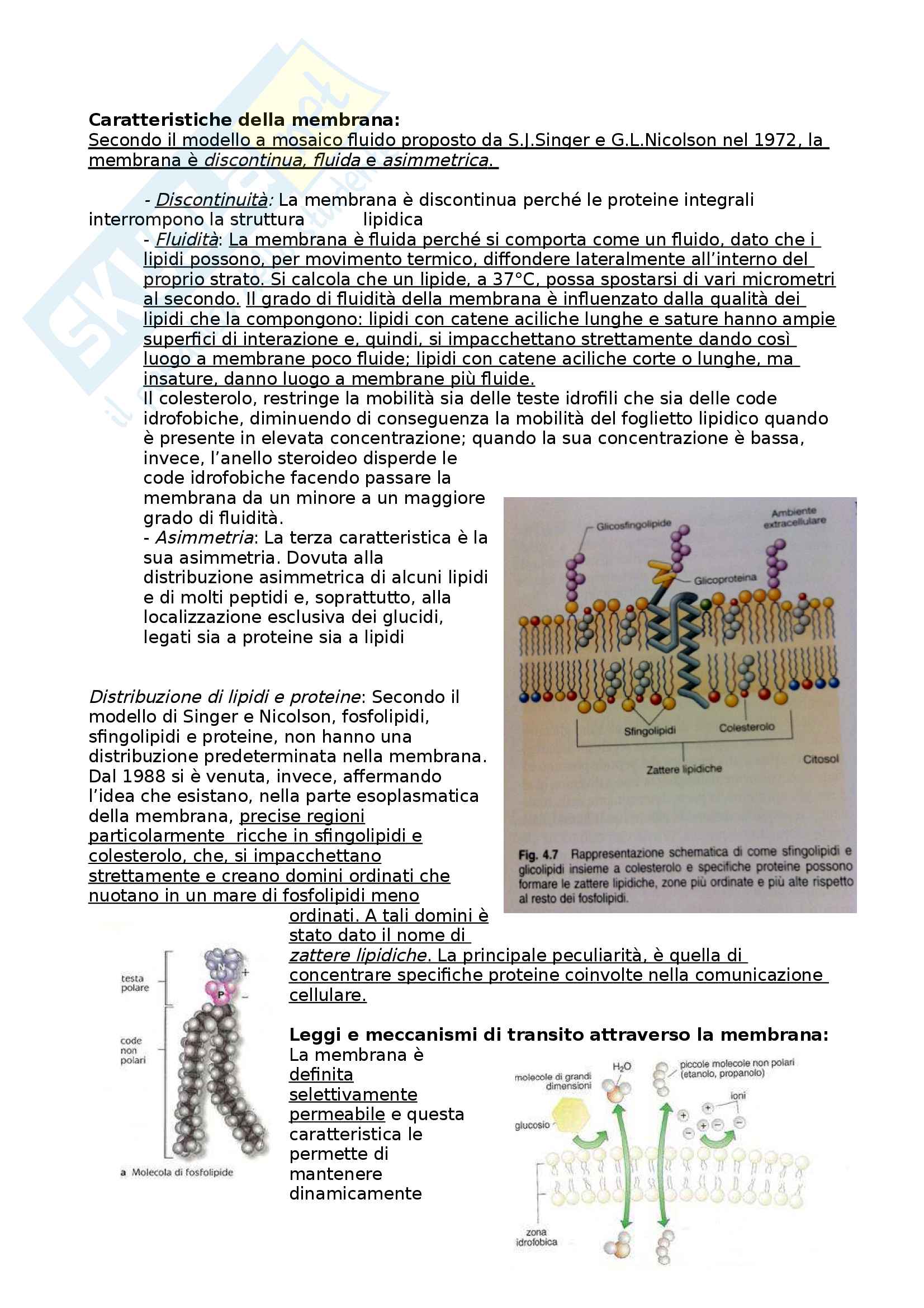 Citologia 1 Pag. 16