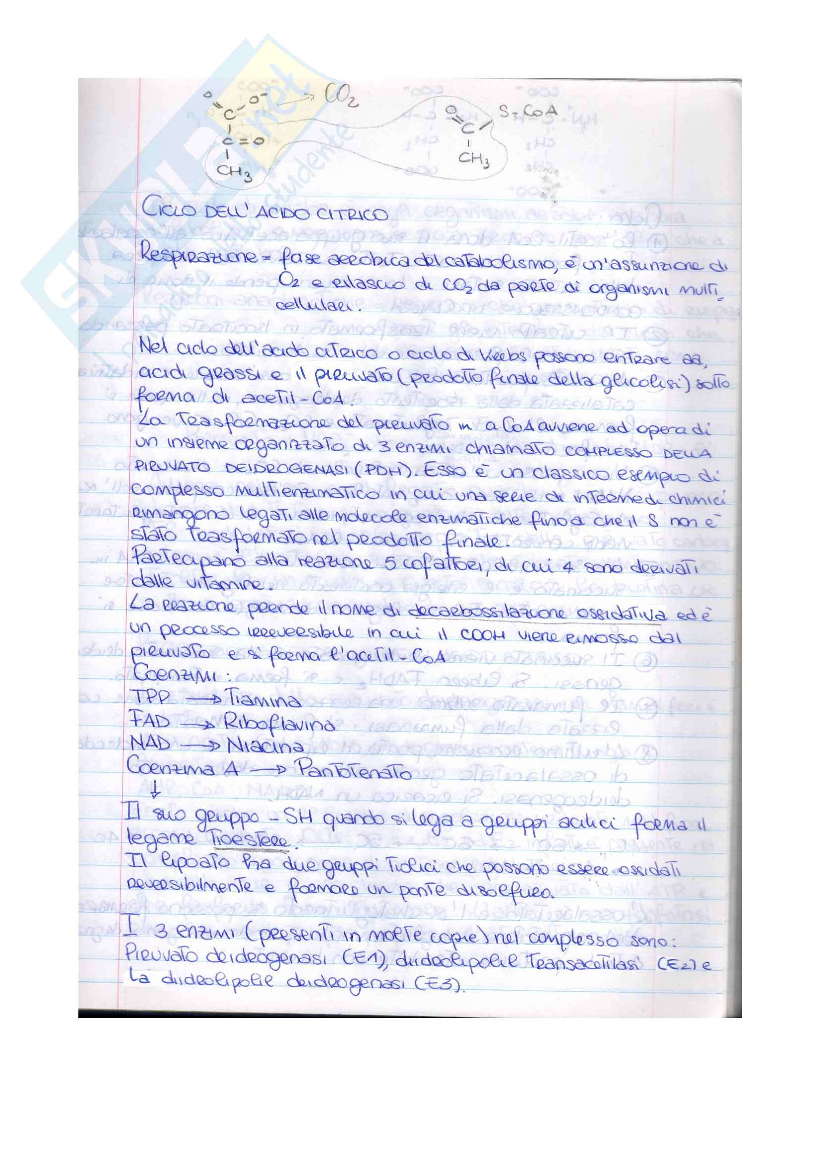 Esame di biochimica (parte 6) Pag. 1