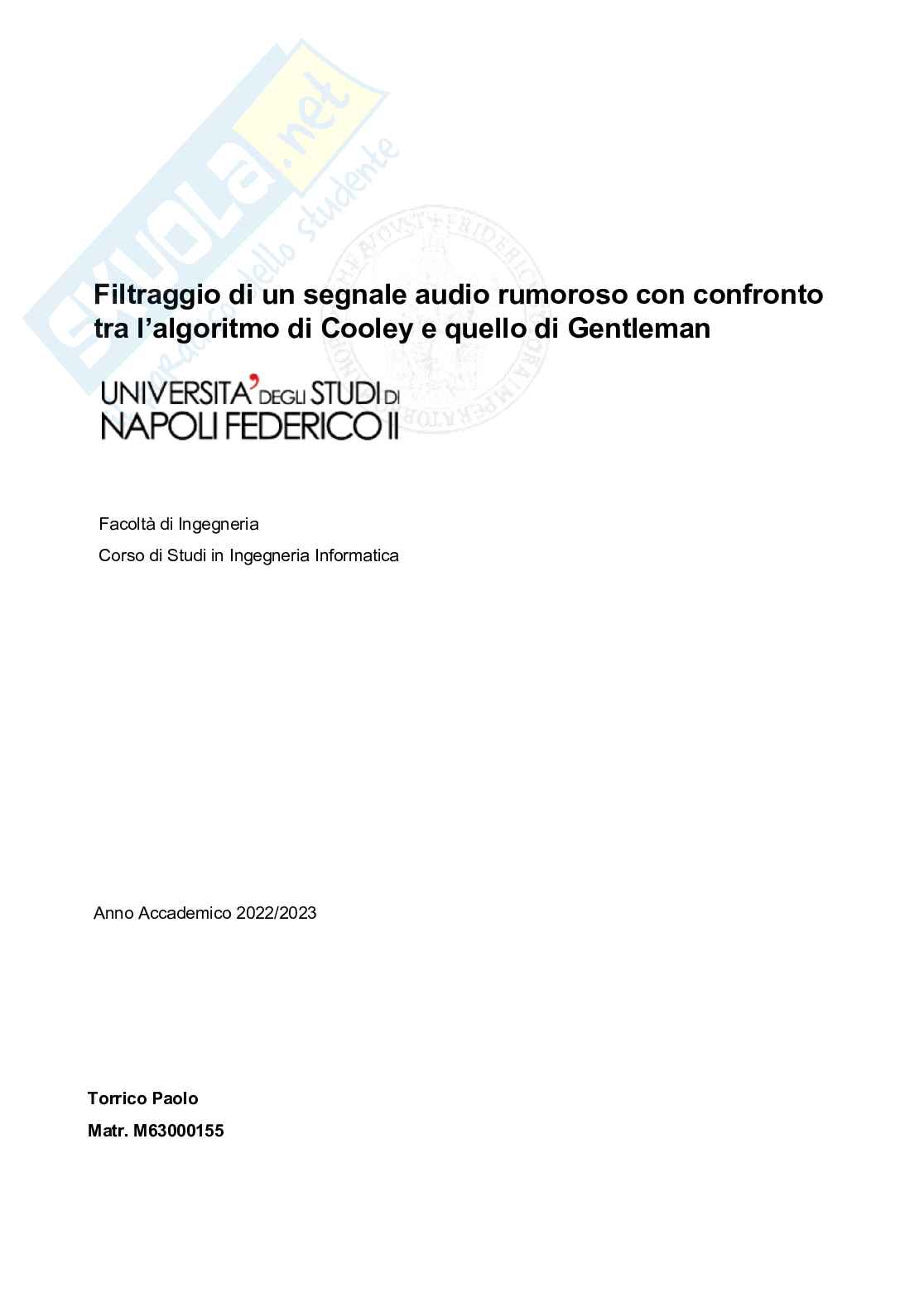 Elaborato di Calcolo numerico  - Filtraggio di un segnale audio rumoroso con confronto tra l’algoritmo di Cooley e quello di Gentleman  Pag. 1