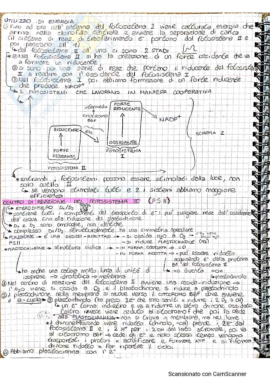 Biochimica e fisiologia vegetale Pag. 6