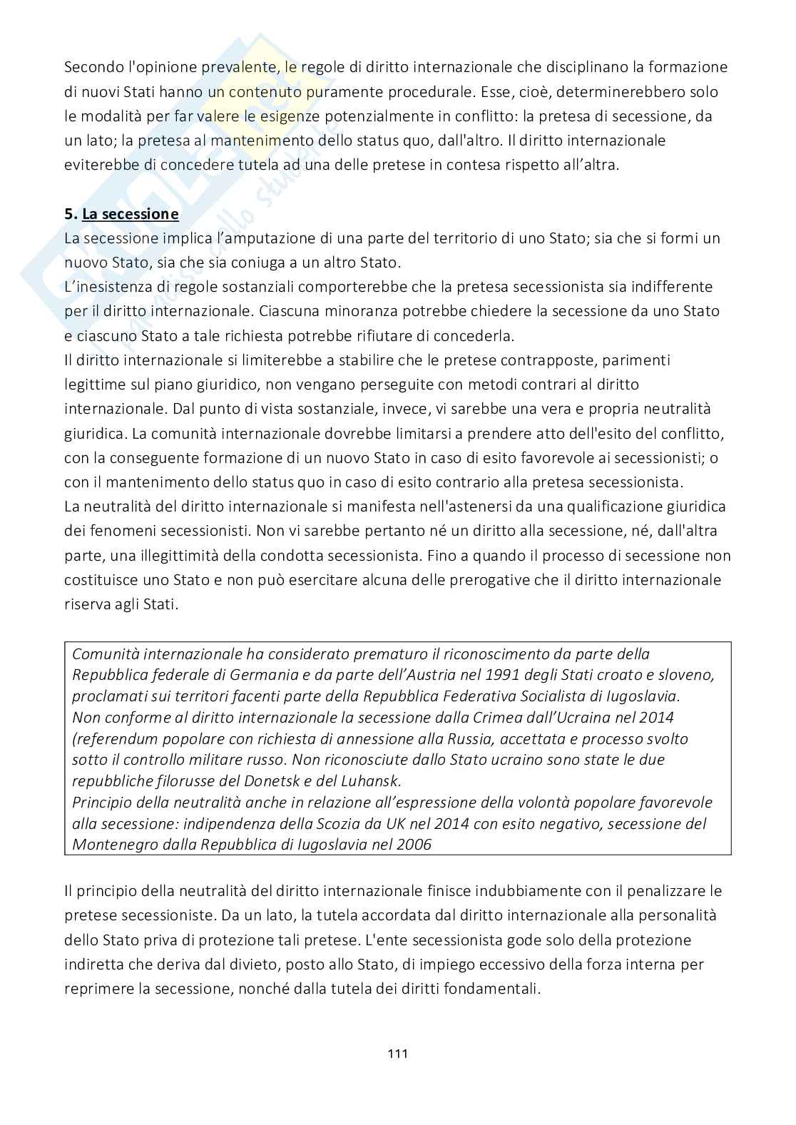 Riassunto esame Diritto internazionale, Prof. Viterbo Annamaria, libro consigliato Diritto internazionale, Cannizzaro Pag. 6