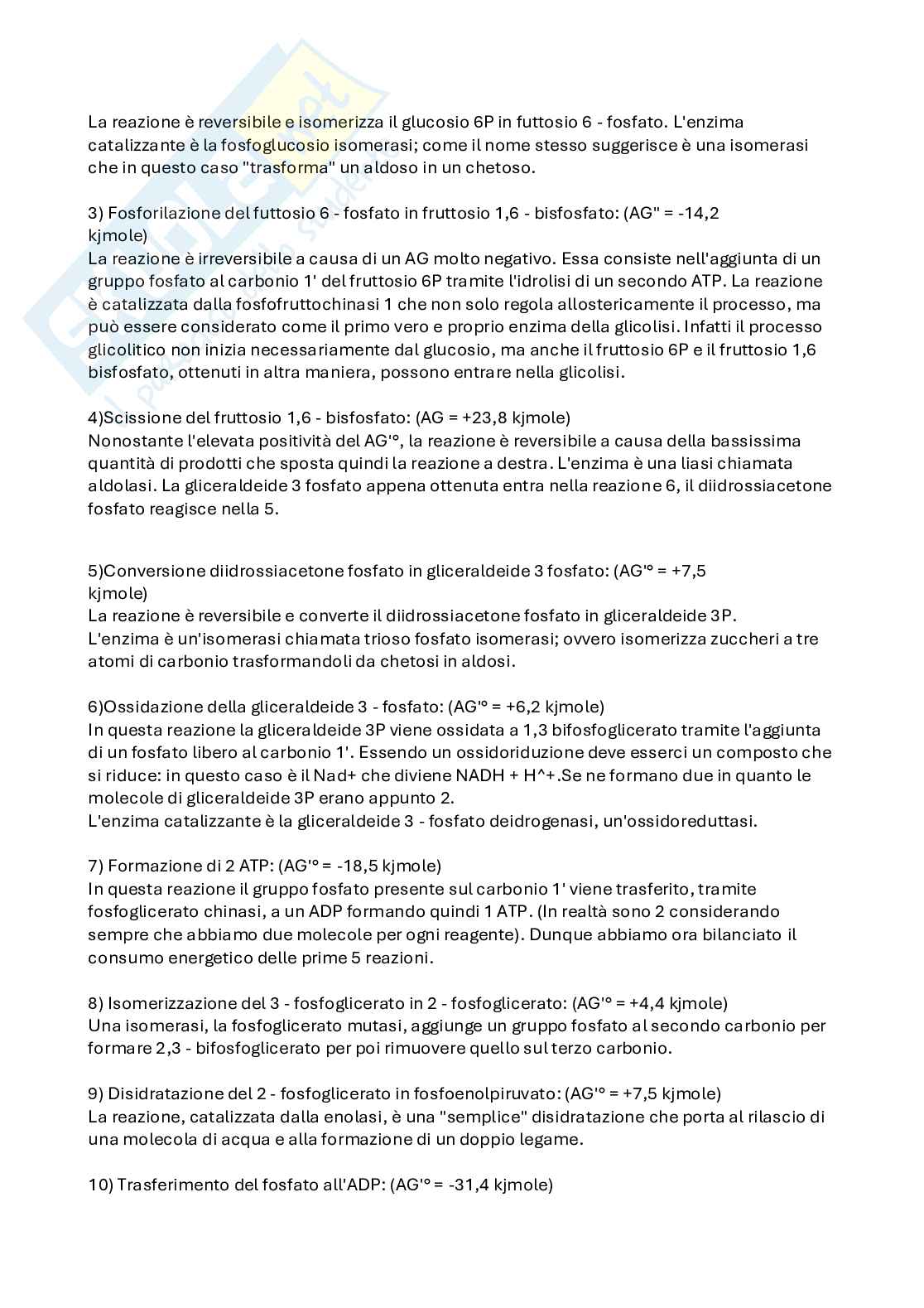 Appunti Biochimica Pag. 11