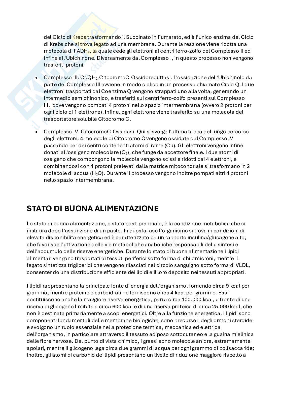 Appunti Biochimica Pag. 16