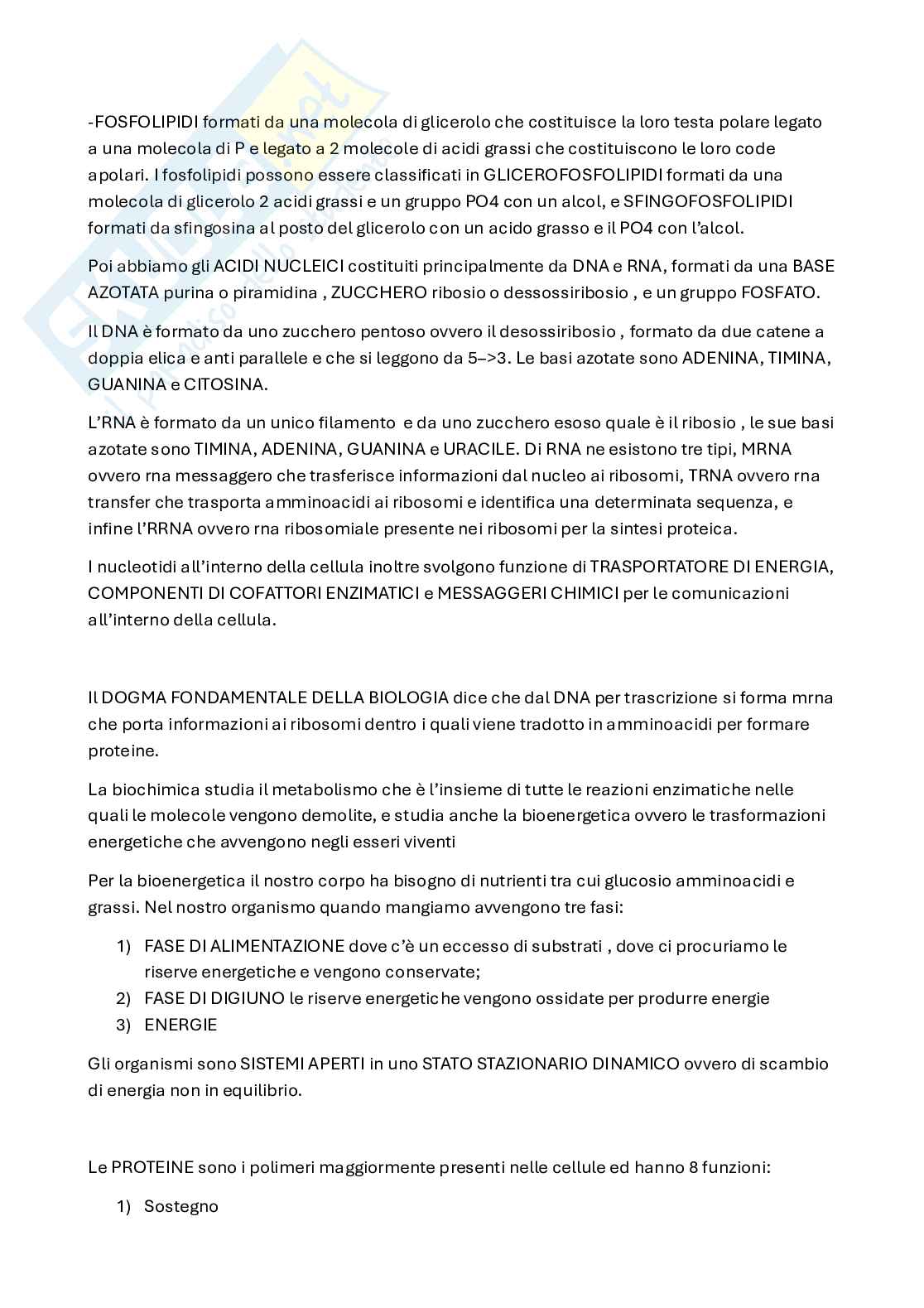 Appunti Biochimica Pag. 2