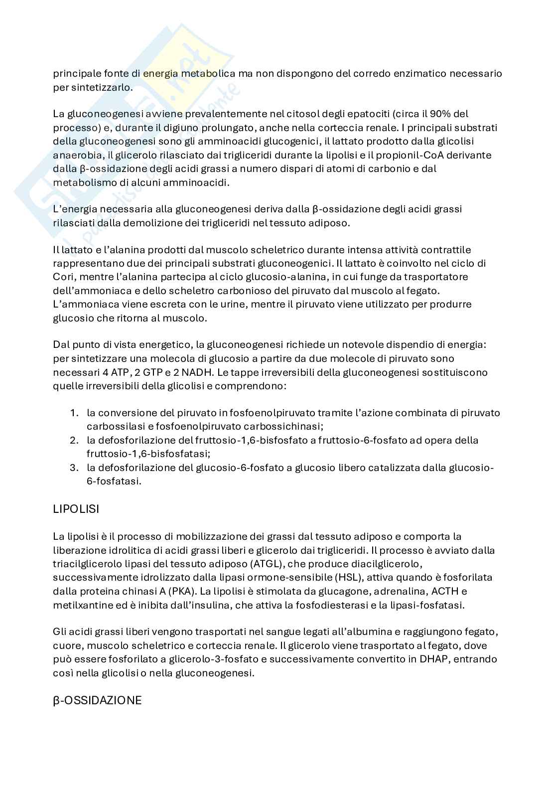 Appunti Biochimica Pag. 21