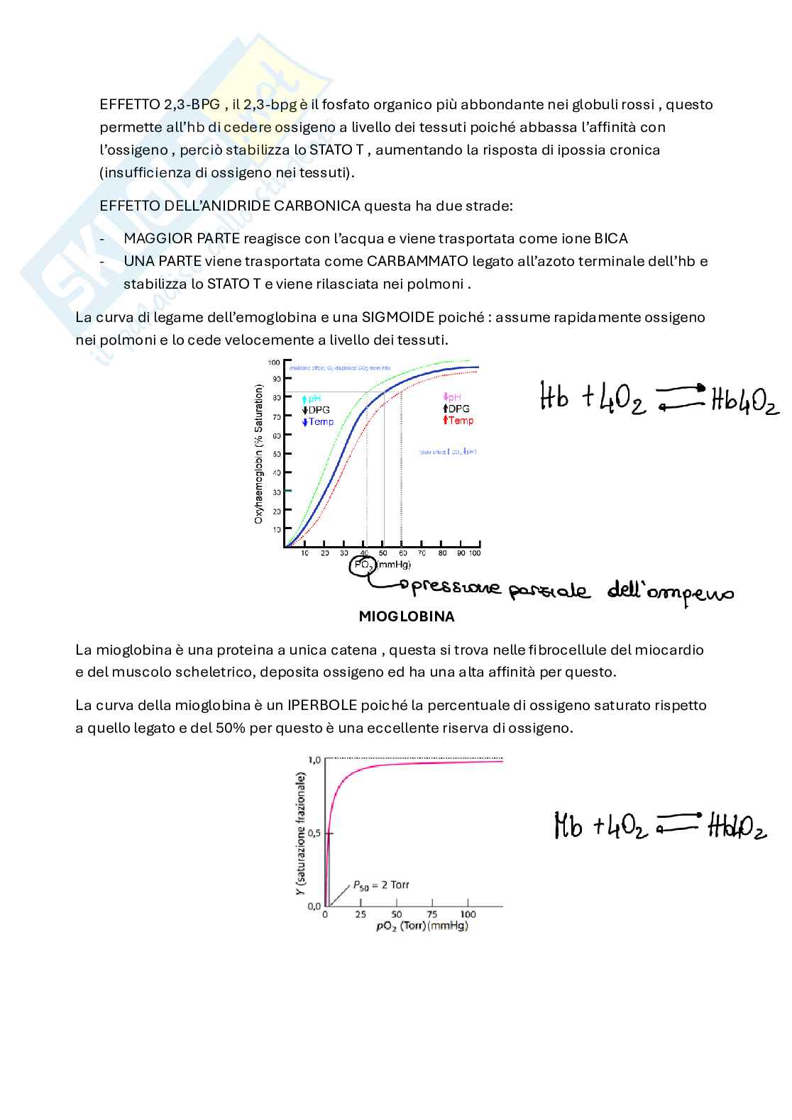 Appunti Biochimica Pag. 6