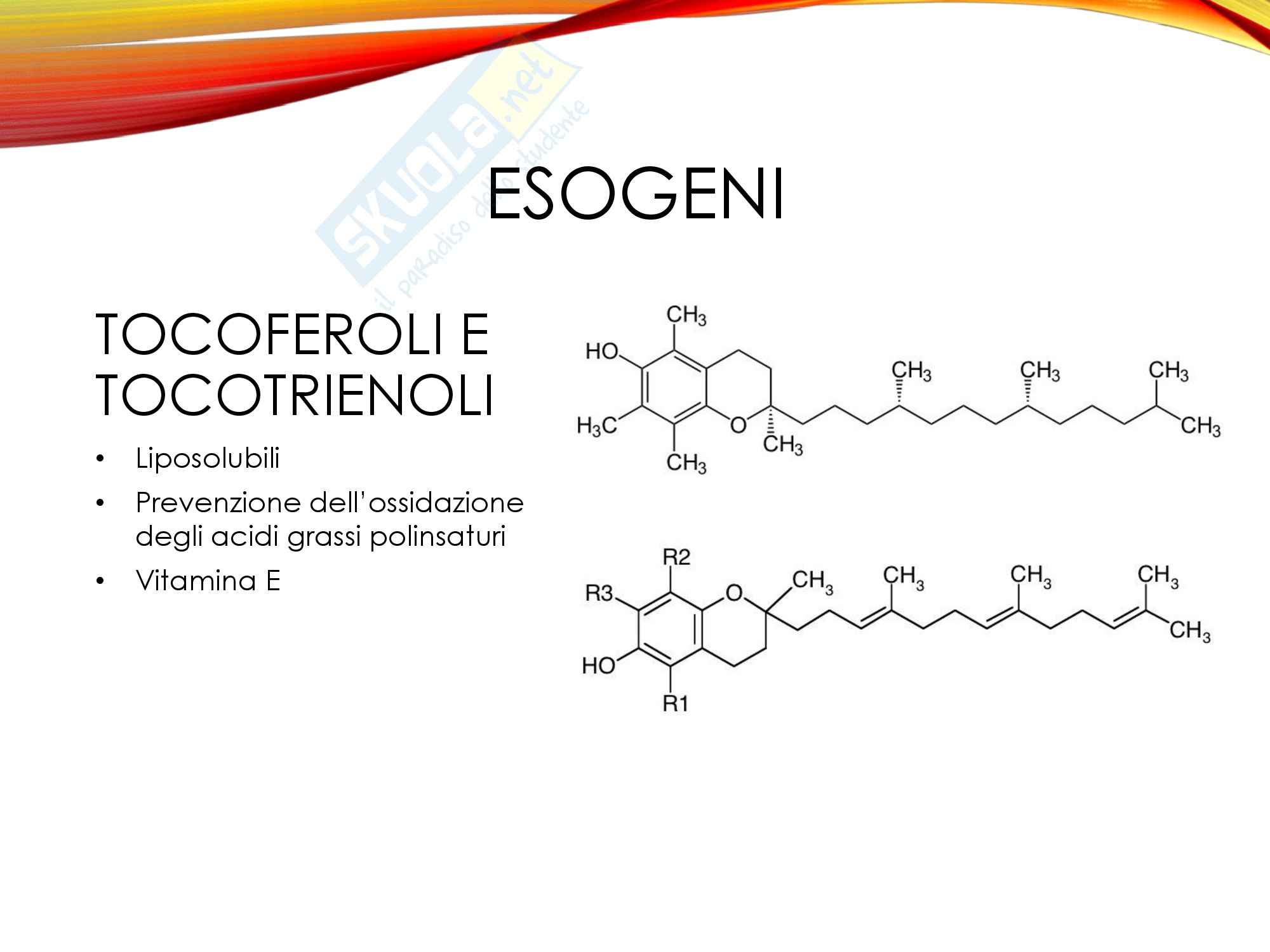 Metodologie di studio degli xenobiotici nei sistemi biologici, Biochimica ambientale Pag. 66