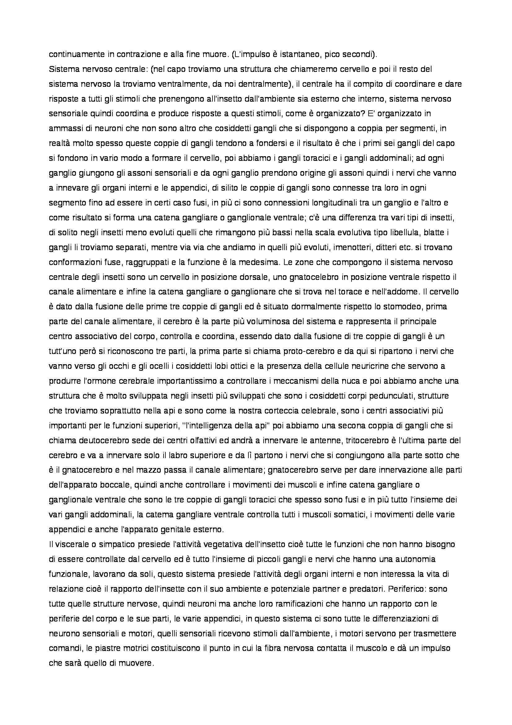 Entomologia - Appunti Pag. 21
