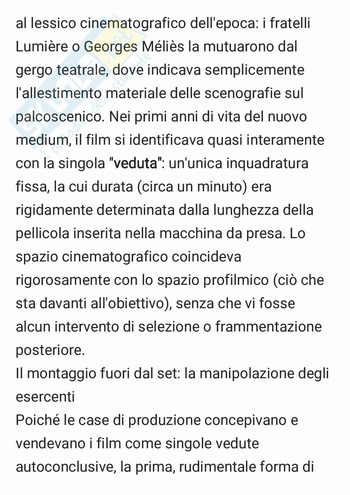Riassunto esame Storia e teorie del cinema, Prof. Vitella Federico, libro consigliato Il montaggio nella storia del cinema. Tecniche, forme, funzioni, Vitella Pag. 2