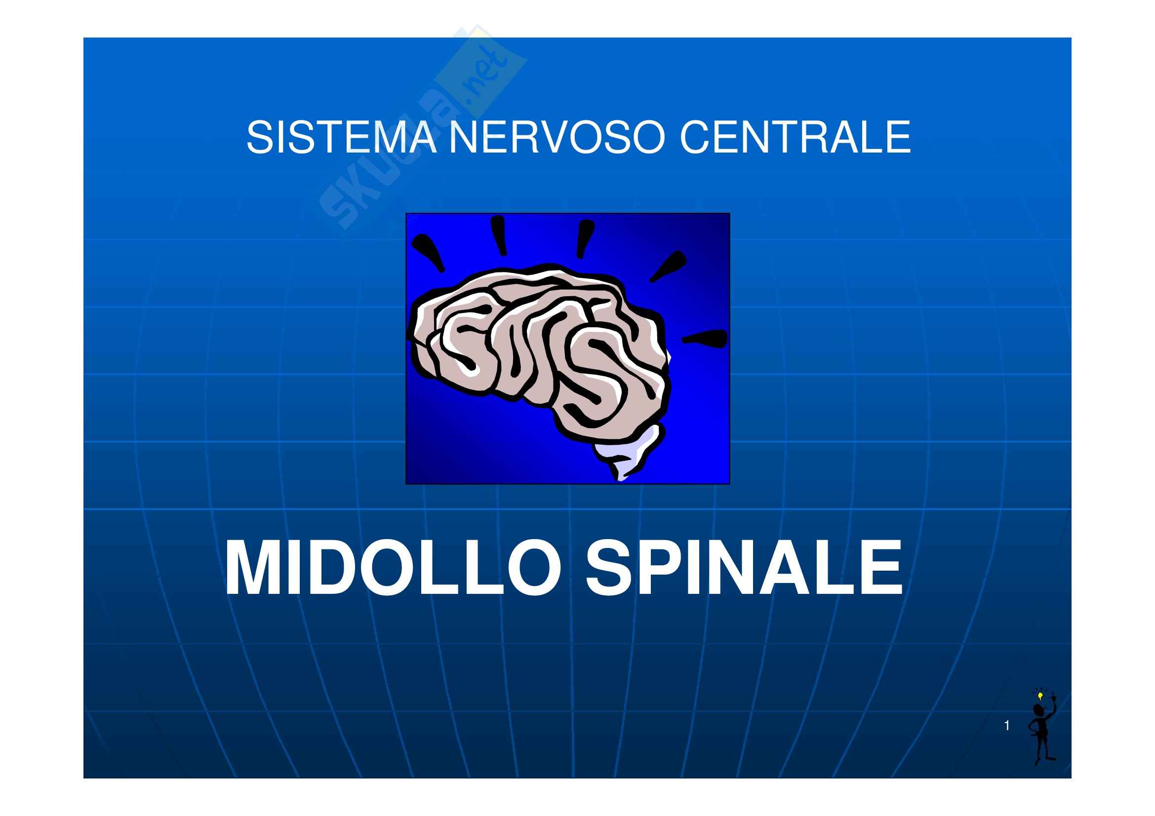 Neurologia - Il midollo spinale Pag. 1