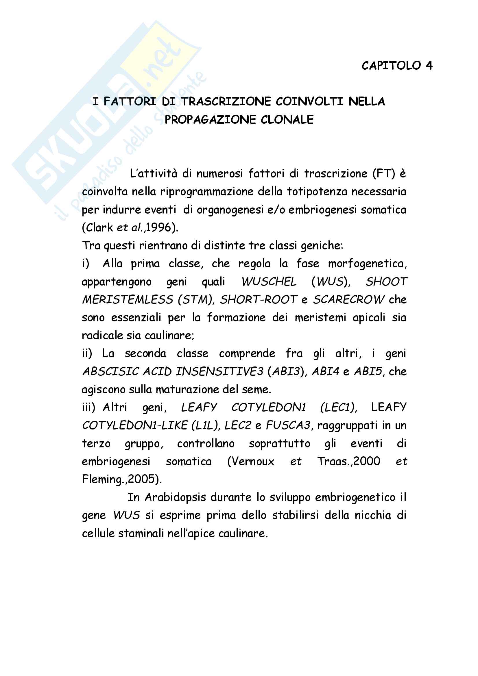 Tesi in Culture cellulari vegetali Pag. 16