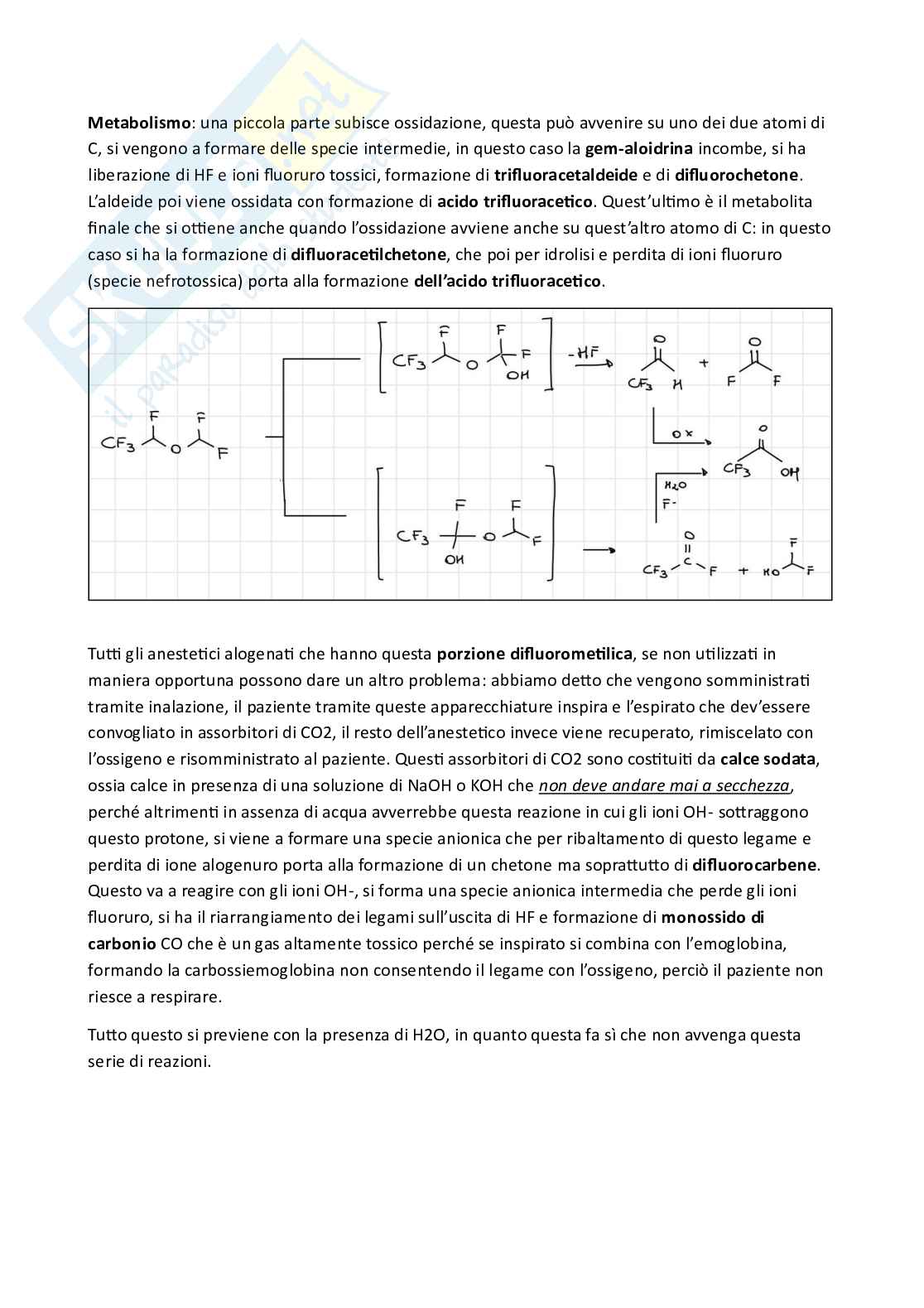 Apputi esame lezioni 1-11 su 33 di Chimica farmaceutica e tossicologica 2 Pag. 26