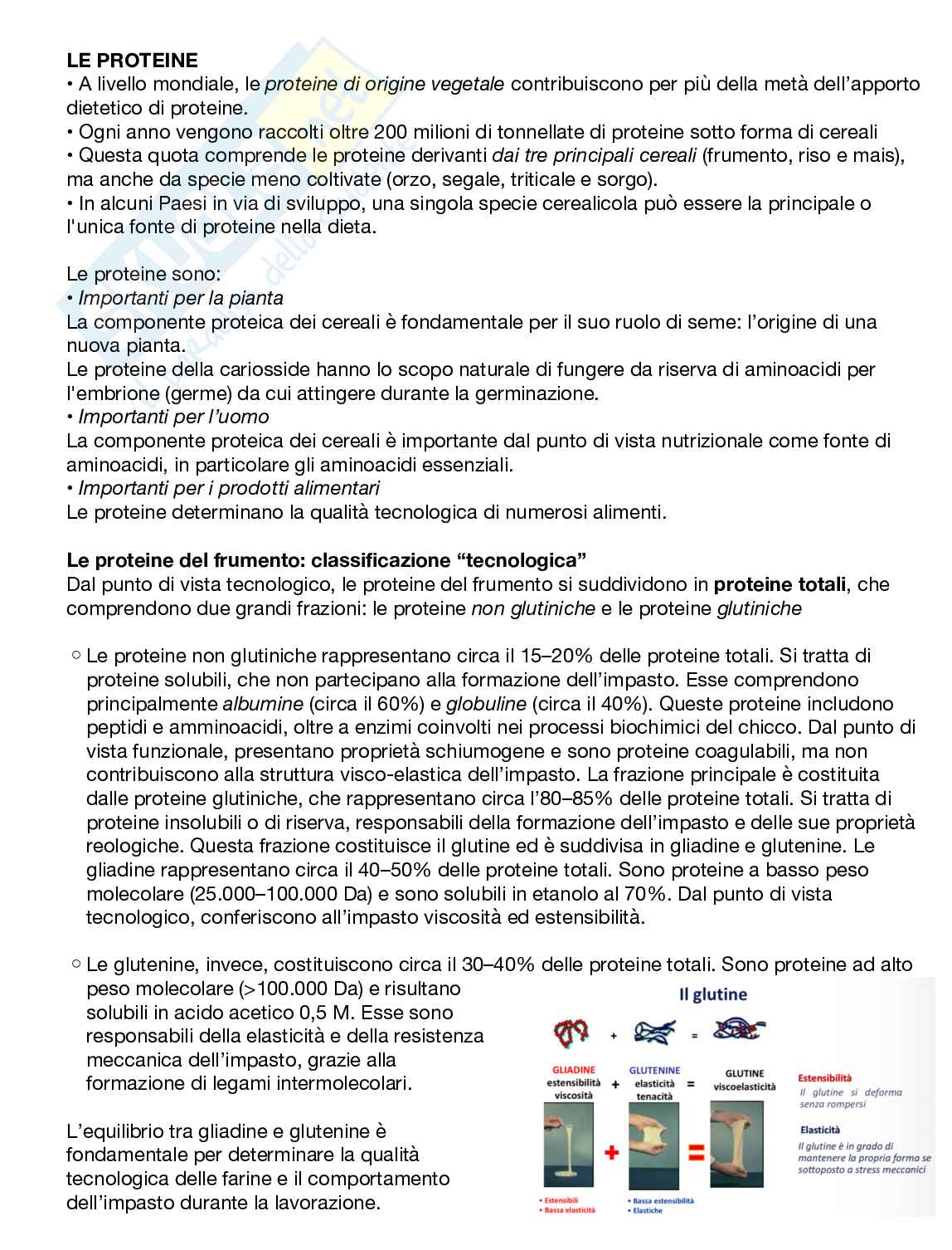 Alimenti di origine vegetale Pag. 6