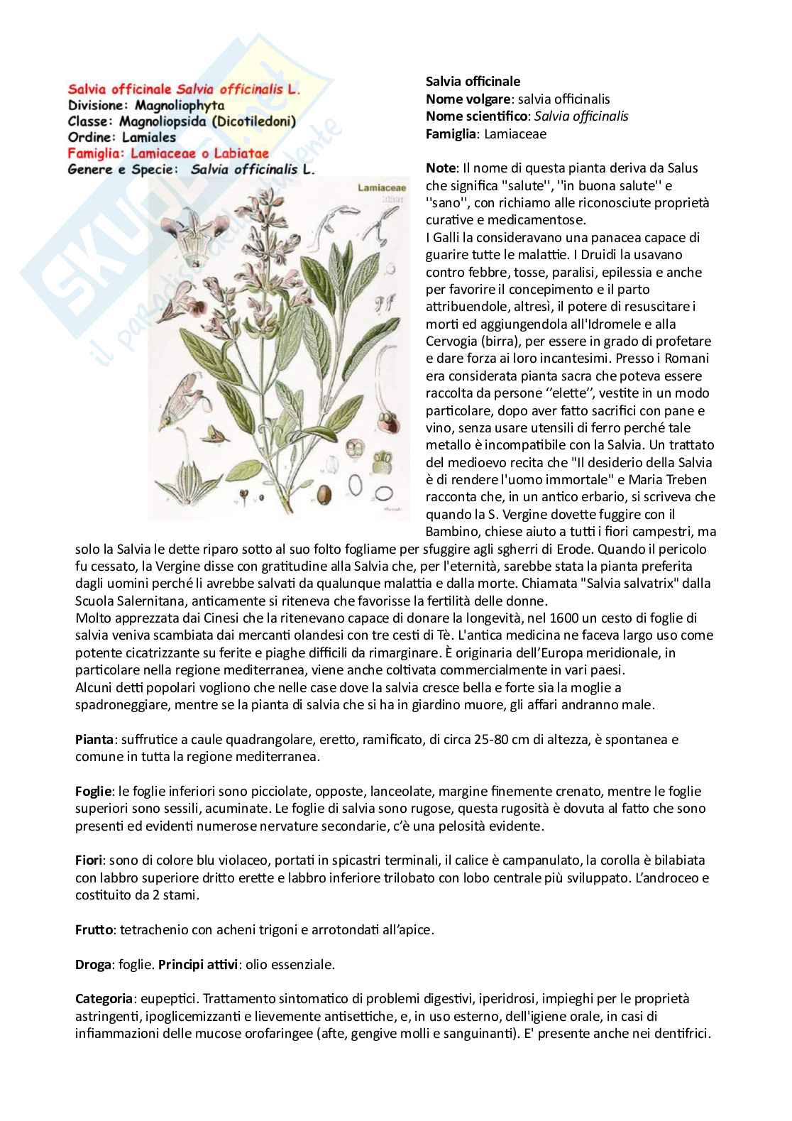 Appunti completi di Botanica farmaceutica (23/24) Pag. 71