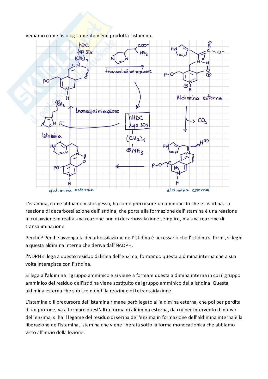 Apputi esame lezioni 29-33 su 33 di Chimica farmaceutica e tossicologica 2  Pag. 6