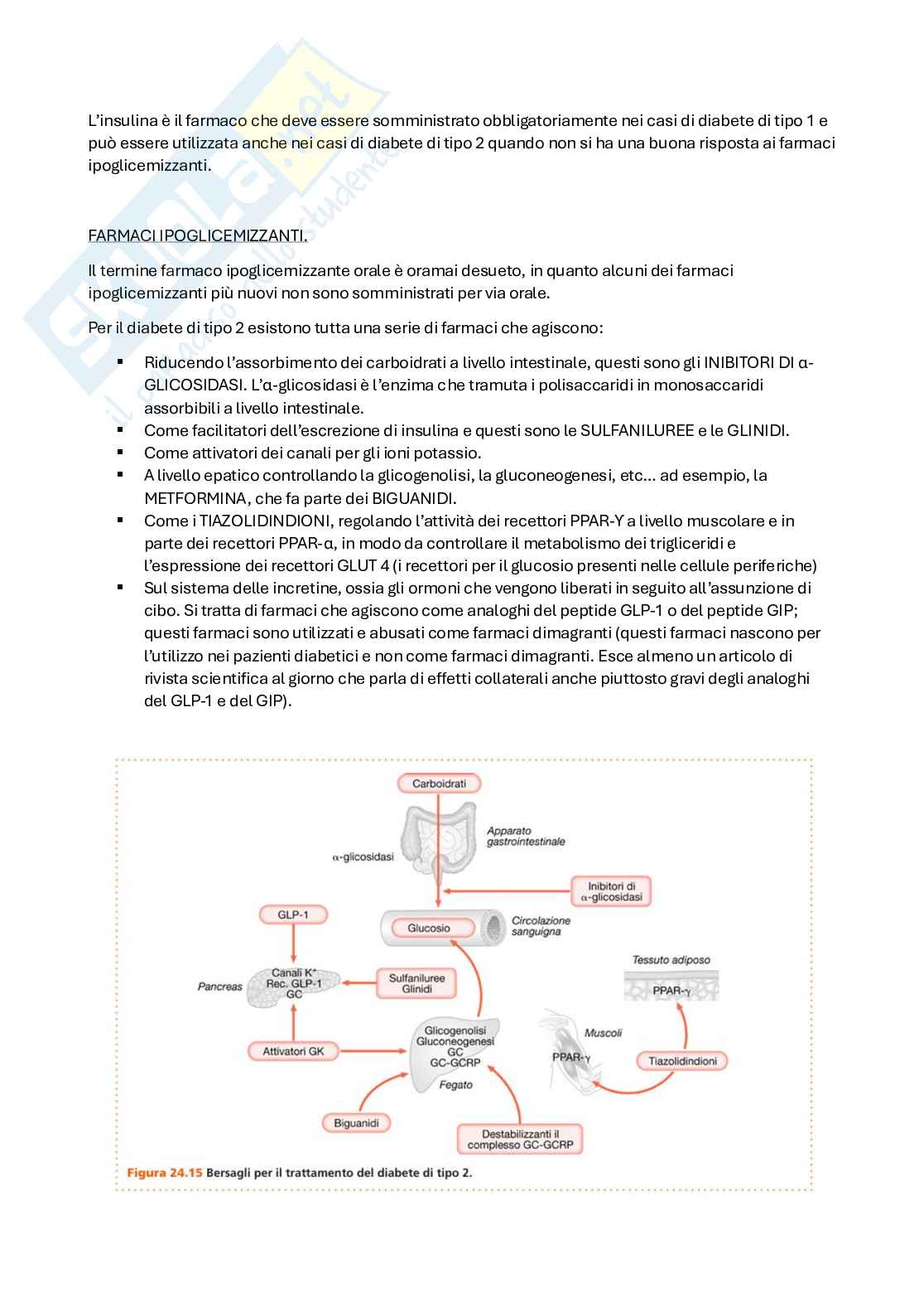 Apputi esame lezioni 29-33 su 33 di Chimica farmaceutica e tossicologica 2  Pag. 86