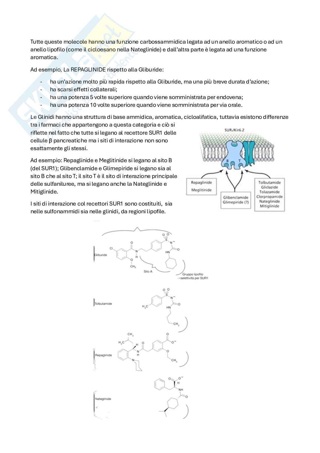Apputi esame lezioni 29-33 su 33 di Chimica farmaceutica e tossicologica 2  Pag. 91