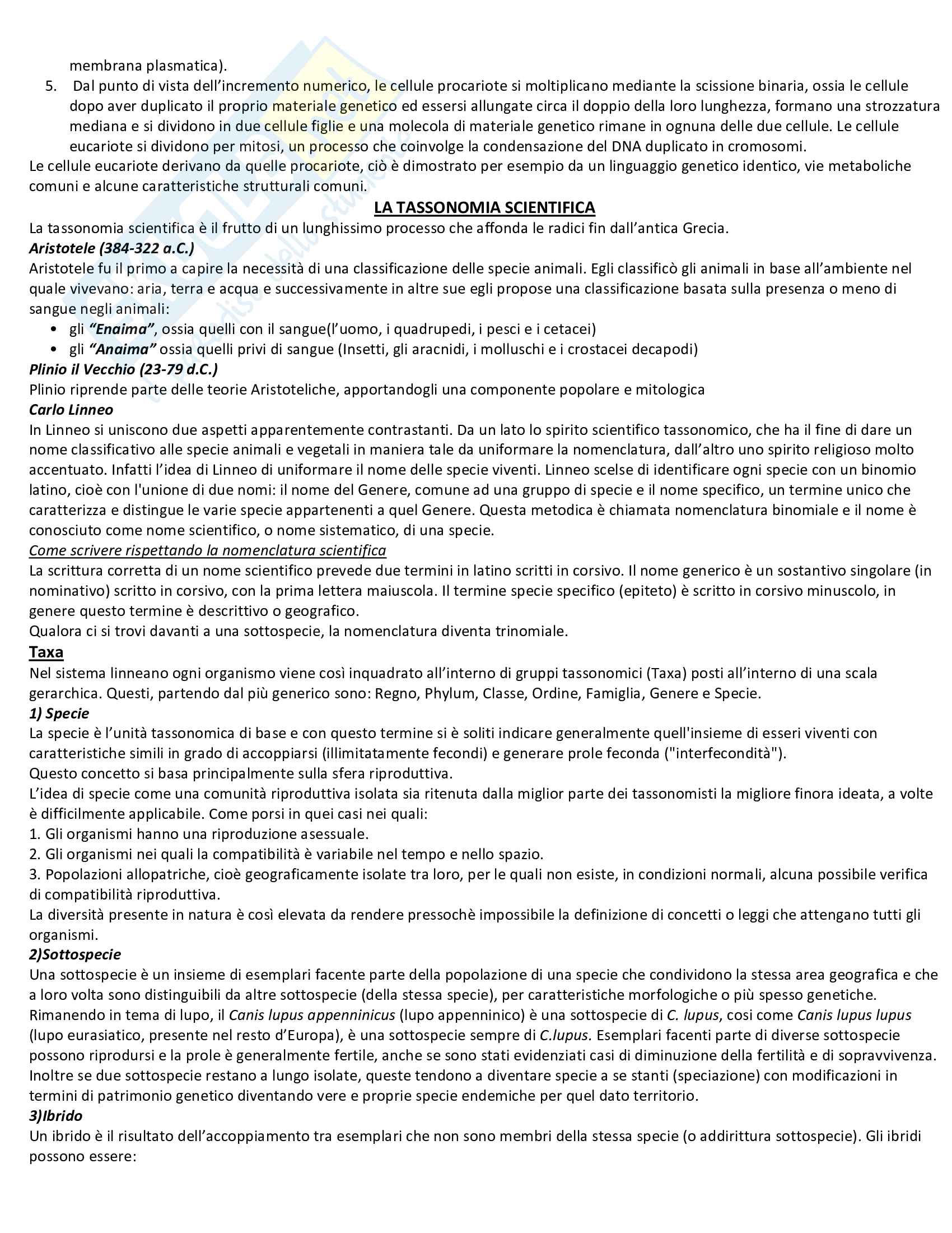 Zoologia - I parziale Pag. 2