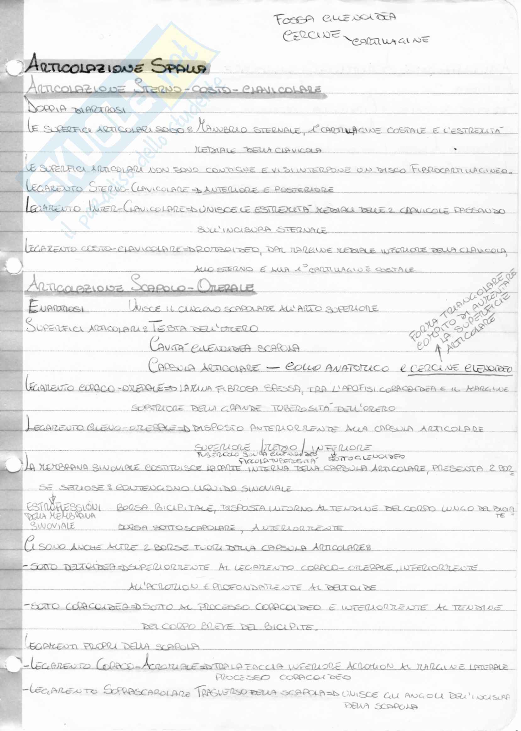 2° Esonero Anatomia Pag. 1