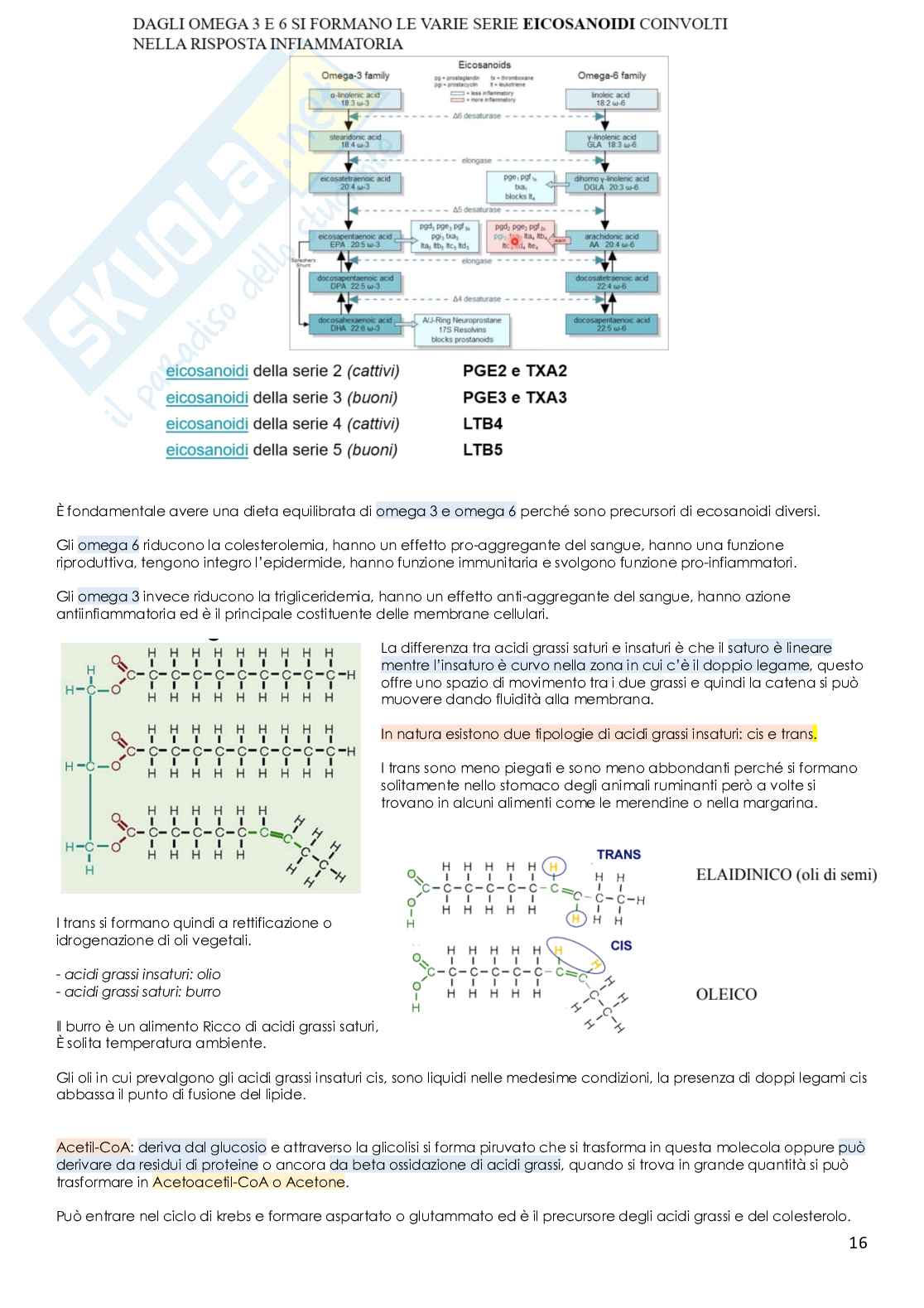 Biochimica clinica Pag. 16
